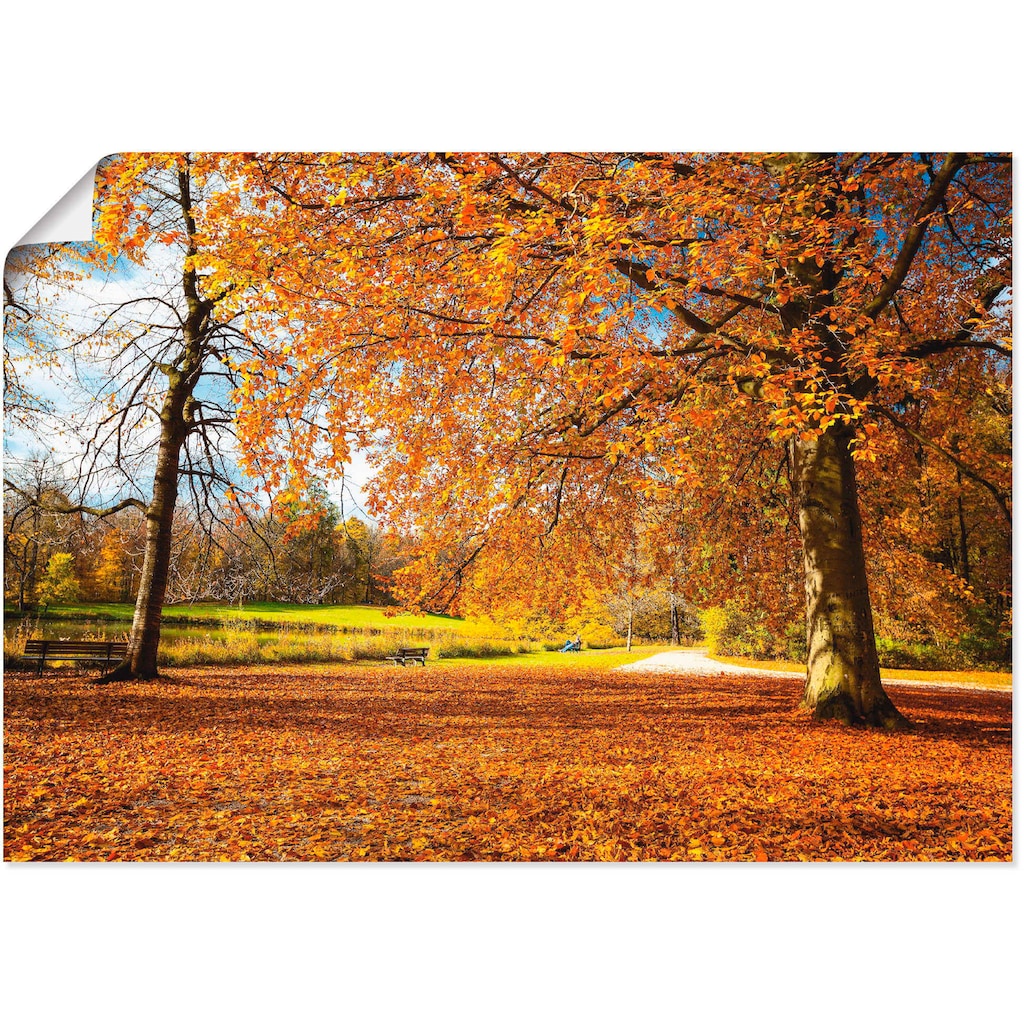 Artland Wandbild »Herbst bei Schlosses Nymphenburg«, Wiesen & Bäume, (1 St.)