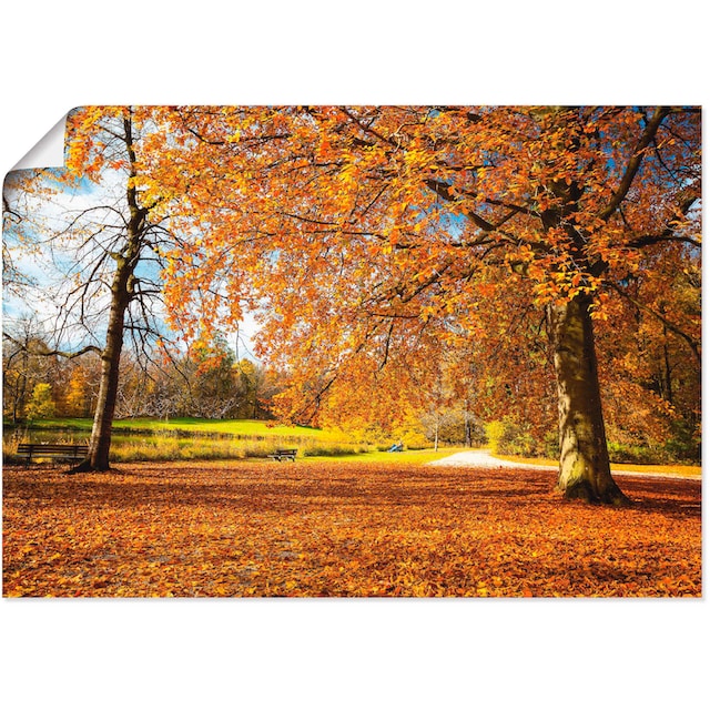 Artland Wandbild »Herbst bei Schlosses Nymphenburg«, Wiesen & Bäume, (1  St.), als Alubild, Leinwandbild, Wandaufkleber oder Poster in versch.  Grössen online bestellen | Jelmoli-Versand
