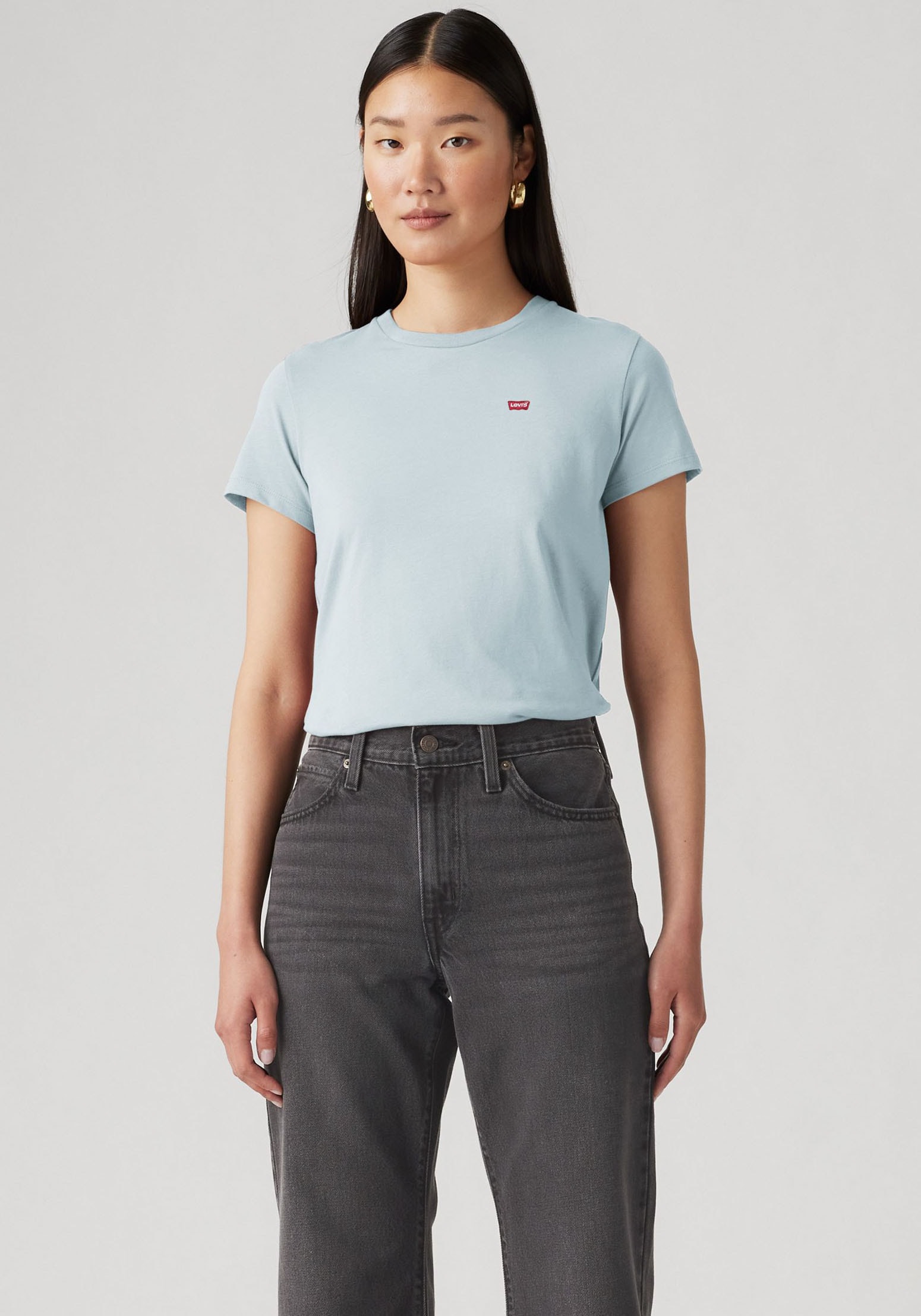 Levi's® T-Shirt »Mini-Logo«, mit kleiner Markenlogo-Stickerei auf der Brust