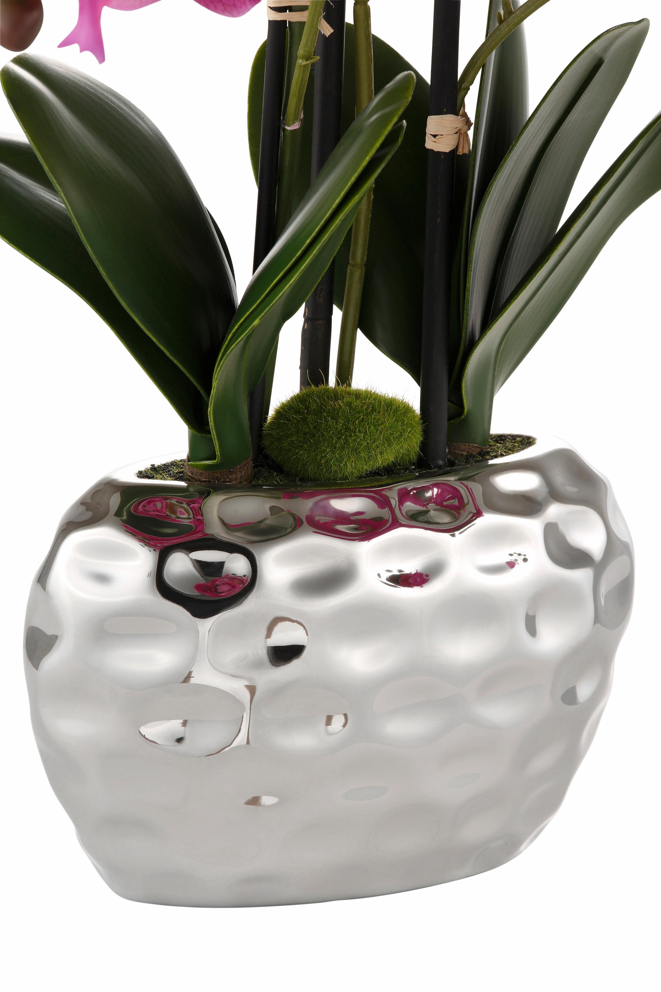 Creativ green Kunstpflanze »Orchidee«