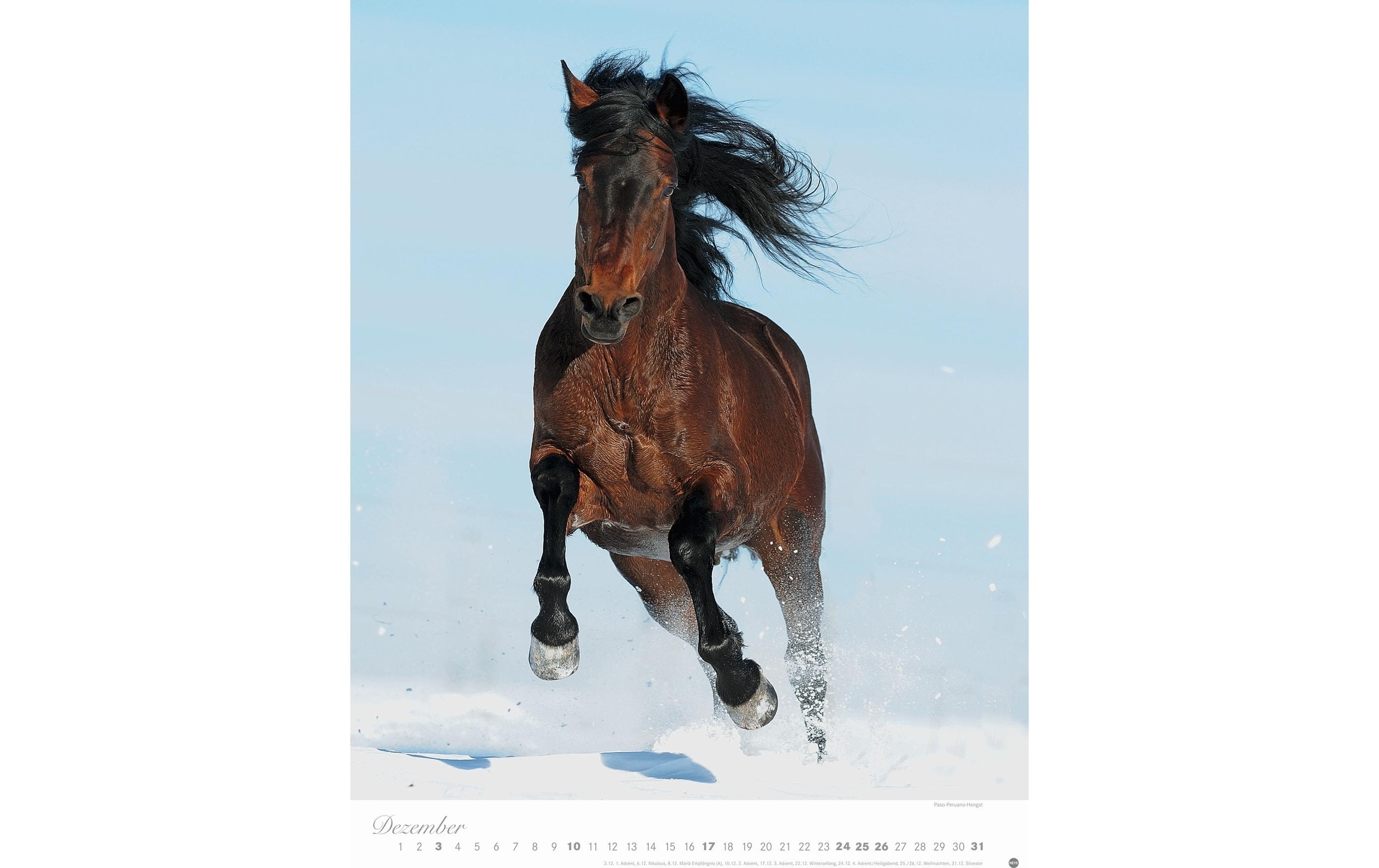 HEYE Wandkalender »Pferde Classics Poste«