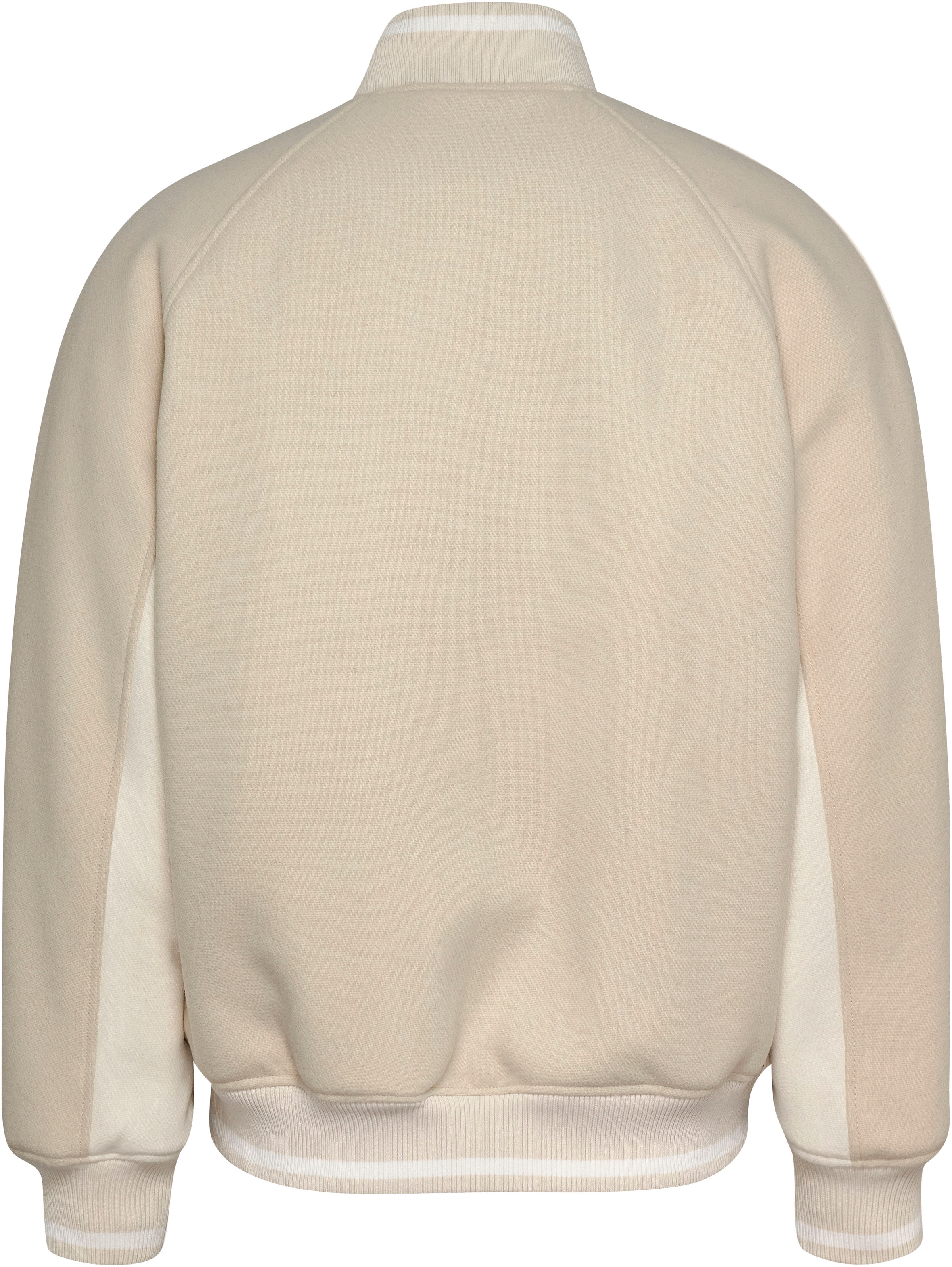 Tommy Jeans Blouson »TJM WOOL VARSITY BOMBER«
