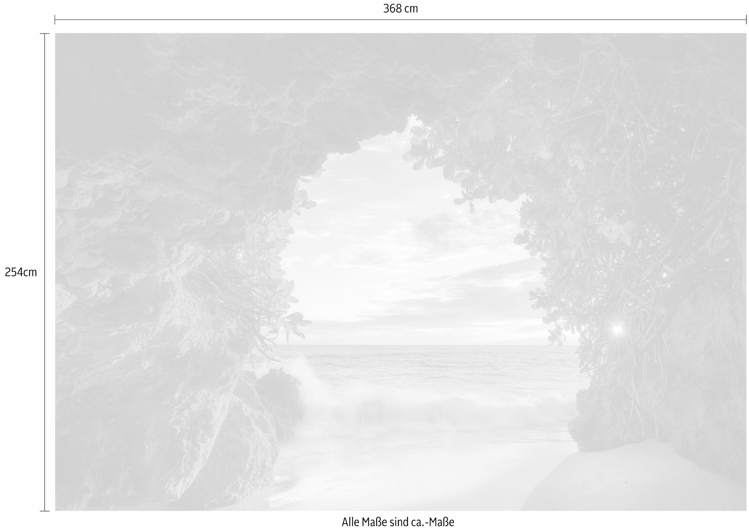 Komar Fototapete »Hide Out«, 368x254 cm (Breite x Höhe), inklusive Kleister  zu günstigen Preisen kaufen | Jelmoli-Versand