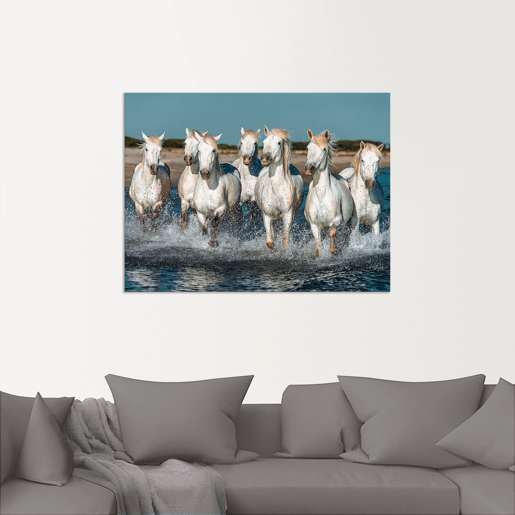 Artland Wandbild »Camargue Pferde galoppieren am Strand«, Haustiere, (1 St.)
