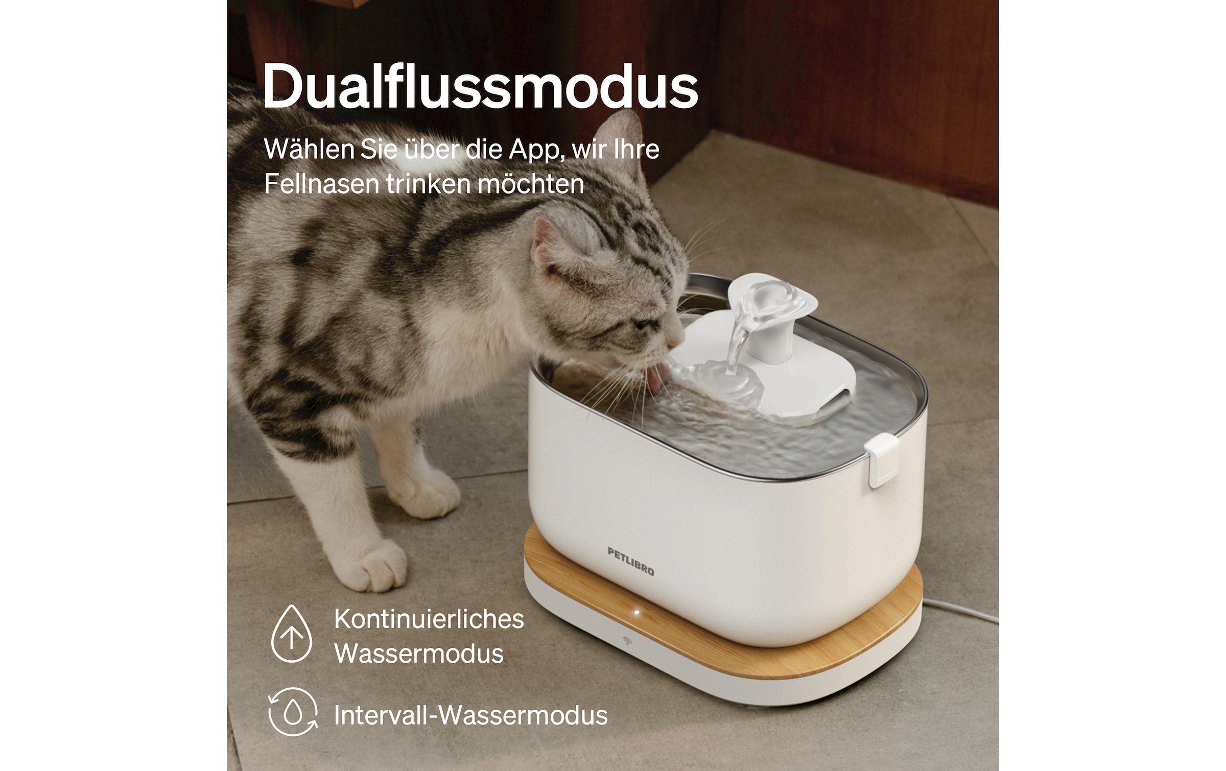 Trinkbrunnen »Petlibro Dockstream«
