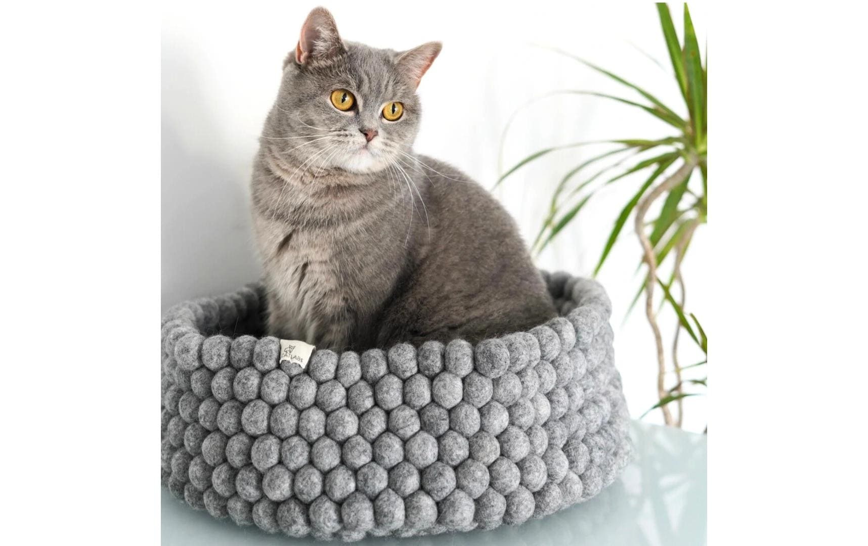 Tierbett »Catlabs Bubbles Ø 38 cm«
