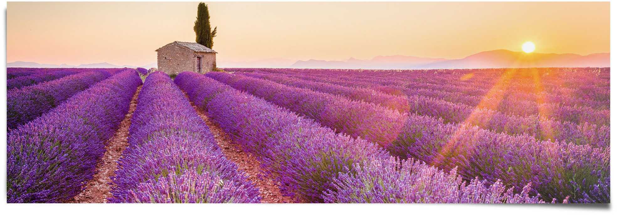 Reinders! Poster »Lavendel Horizont«, (1 St.)