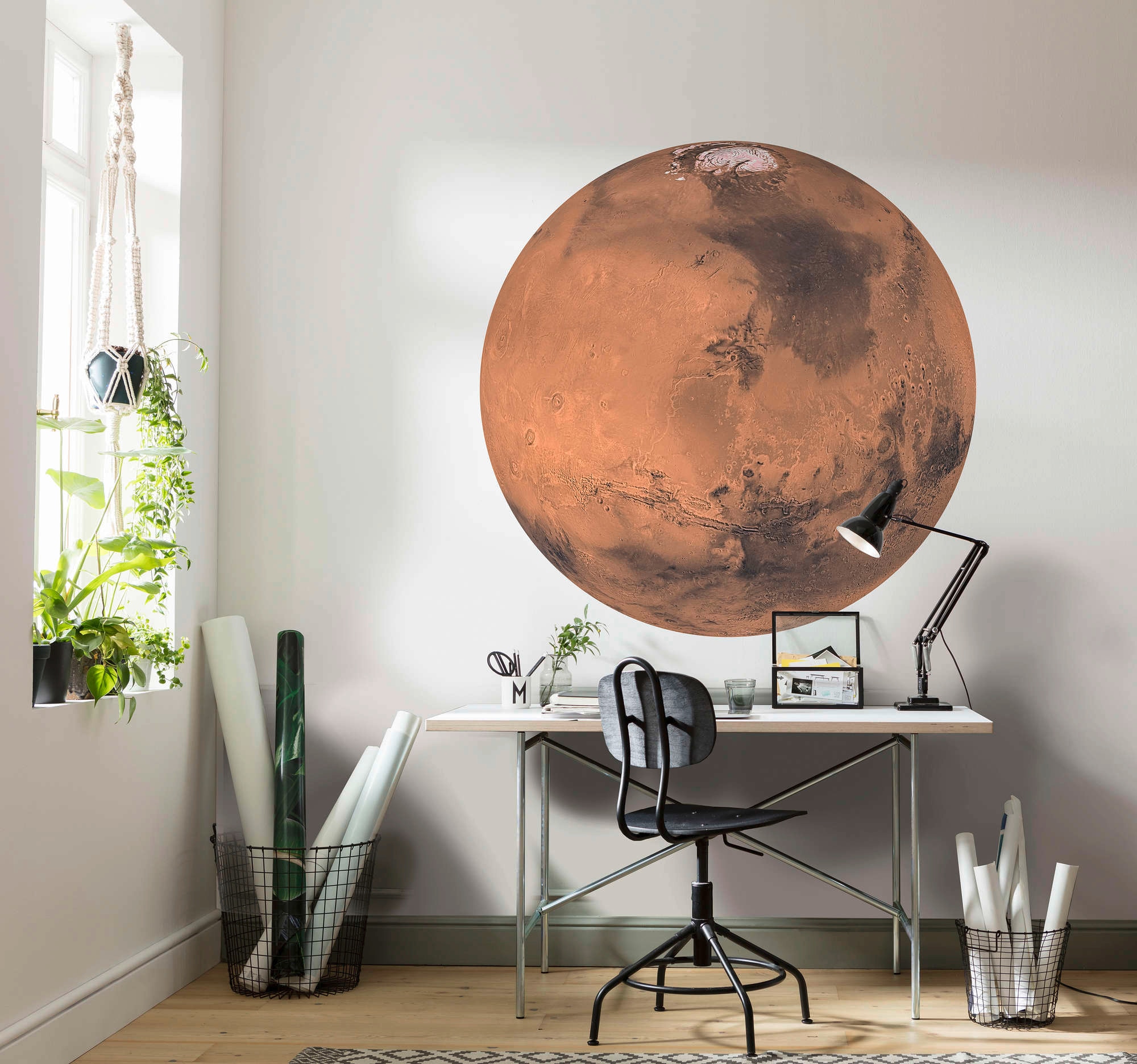 ❤ Komar Shop (Breite Vliestapete kaufen im selbstklebend »Mars«, cm und x 125x125 Höhe), rund Jelmoli-Online
