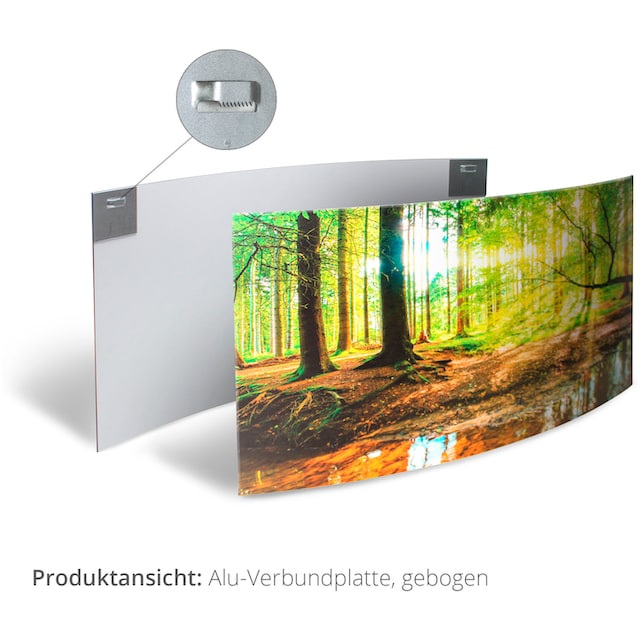 Artland Wandbild »Ostsee mit Sonnenaufgang s/w«, Gewässer, (1 St.), 3D  Optik gebogen online kaufen | Jelmoli-Versand