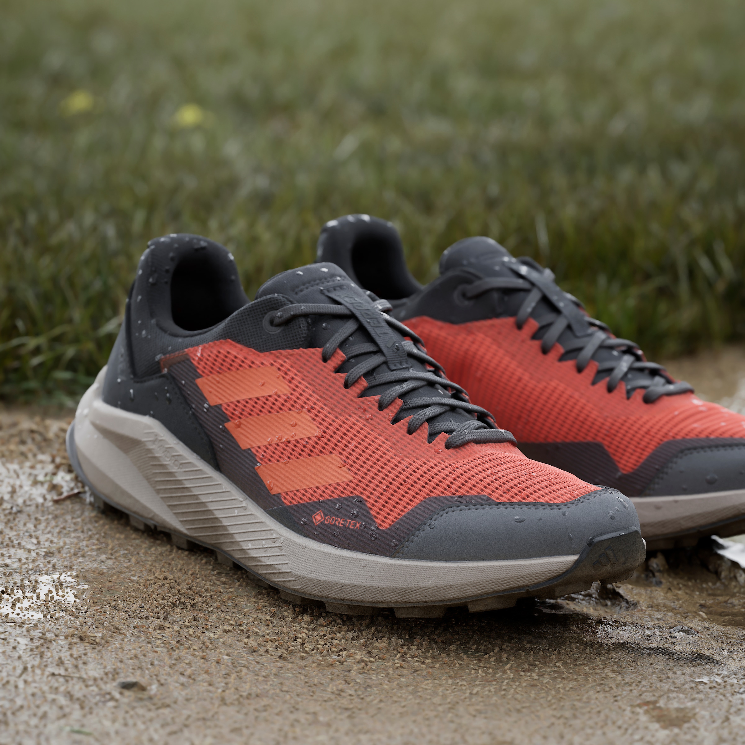 adidas TERREX Laufschuh »TRAIL RIDER GORE-TEX TRAILRUNNING«, wasserdicht