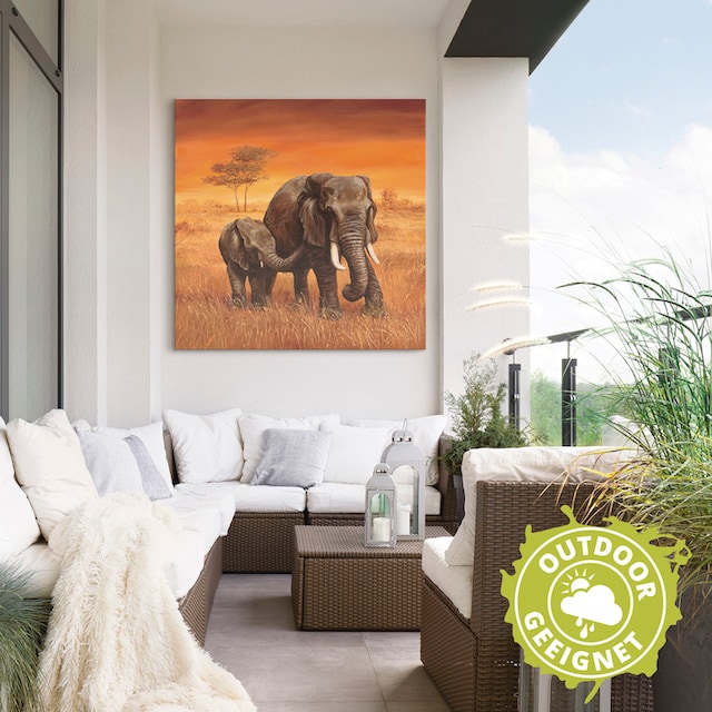 Artland Wandbild »Elefanten II«, Wildtiere, (1 St.), als Alubild,  Leinwandbild, Wandaufkleber oder Poster in versch. Grössen online shoppen |  Jelmoli-Versand