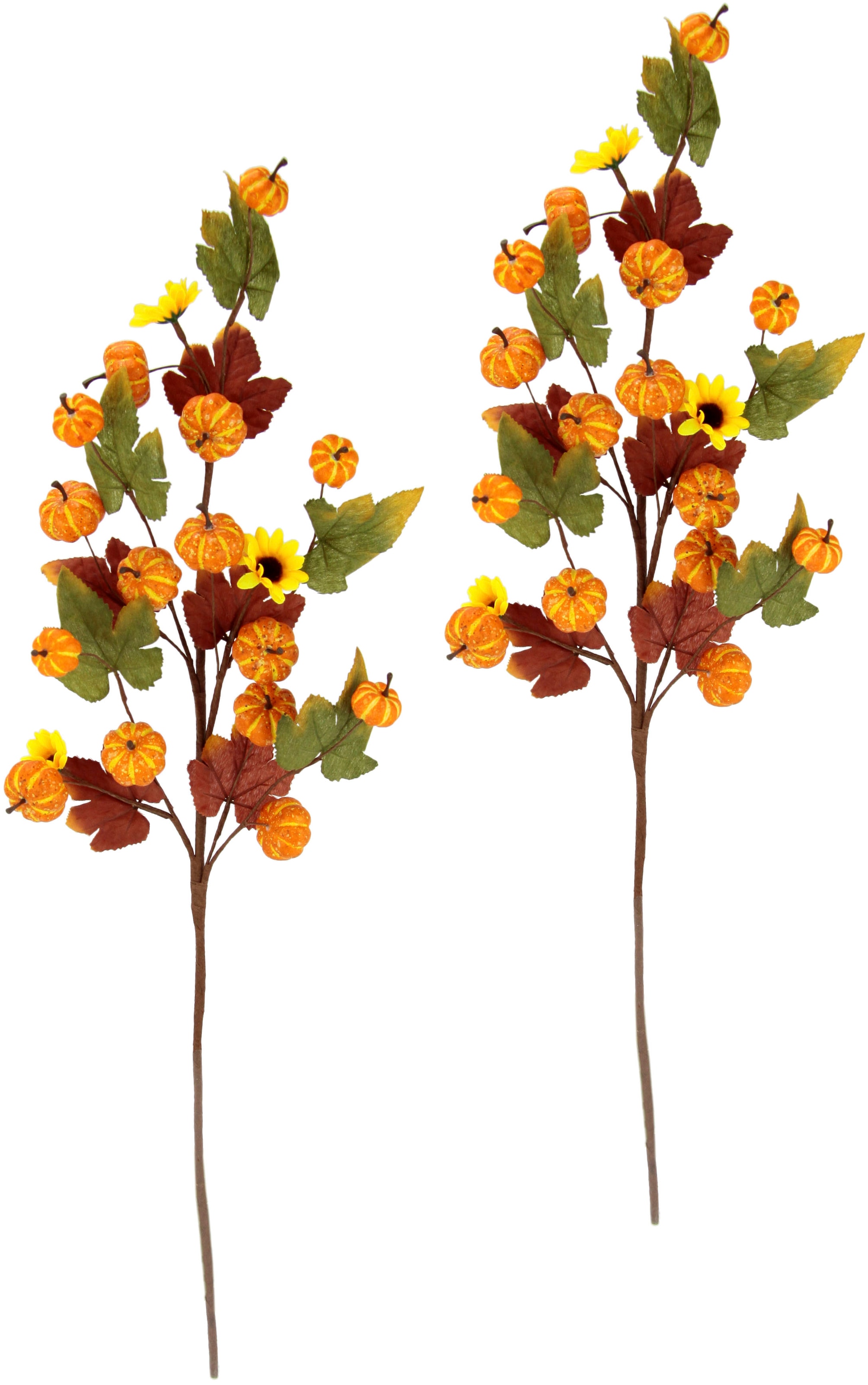 I.GE.A. Kunstzweig Jelmoli-Versand Sonnenblumen, Herbstlaub, online »Herbstzweige«, 2er shoppen Set | Mit und Kürbissen