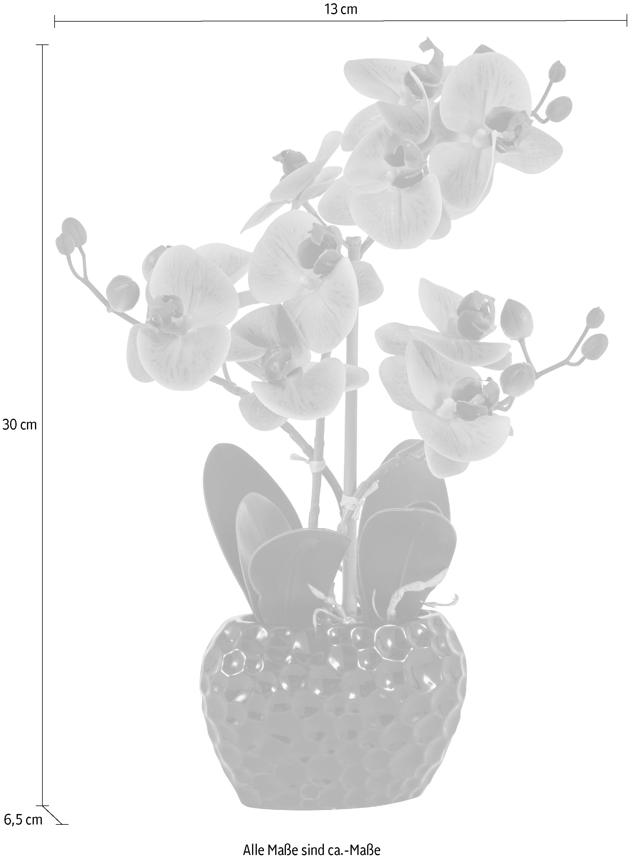 im Jelmoli-Online Kunstpflanze Topf ❤ im bestellen Shop Kunstorchidee, Leonique »Orchidee«,