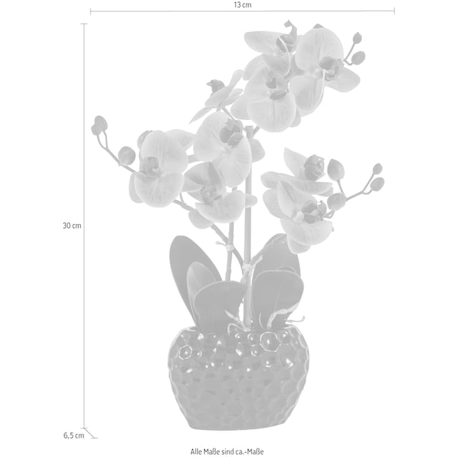 ❤ Leonique Kunstpflanze »Orchidee«, Kunstorchidee, im Topf bestellen im  Jelmoli-Online Shop