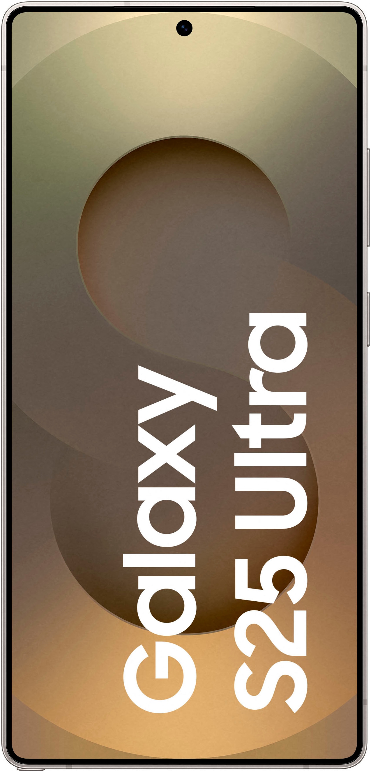 Samsung Smartphone »Galaxy S25 Ultra«, Titanium Gray