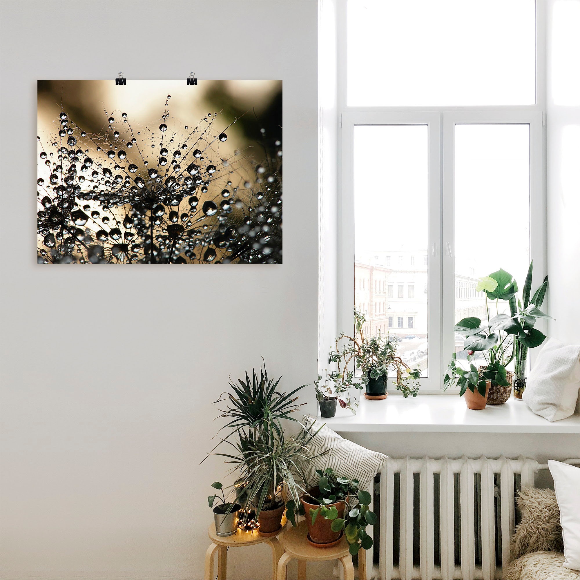 Artland Wandbild »Nasser Löwenzahn«, Blumen, (1 St.), als Alubild, Outdoorbild, Leinwandbild, Poster, Wandaufkleber