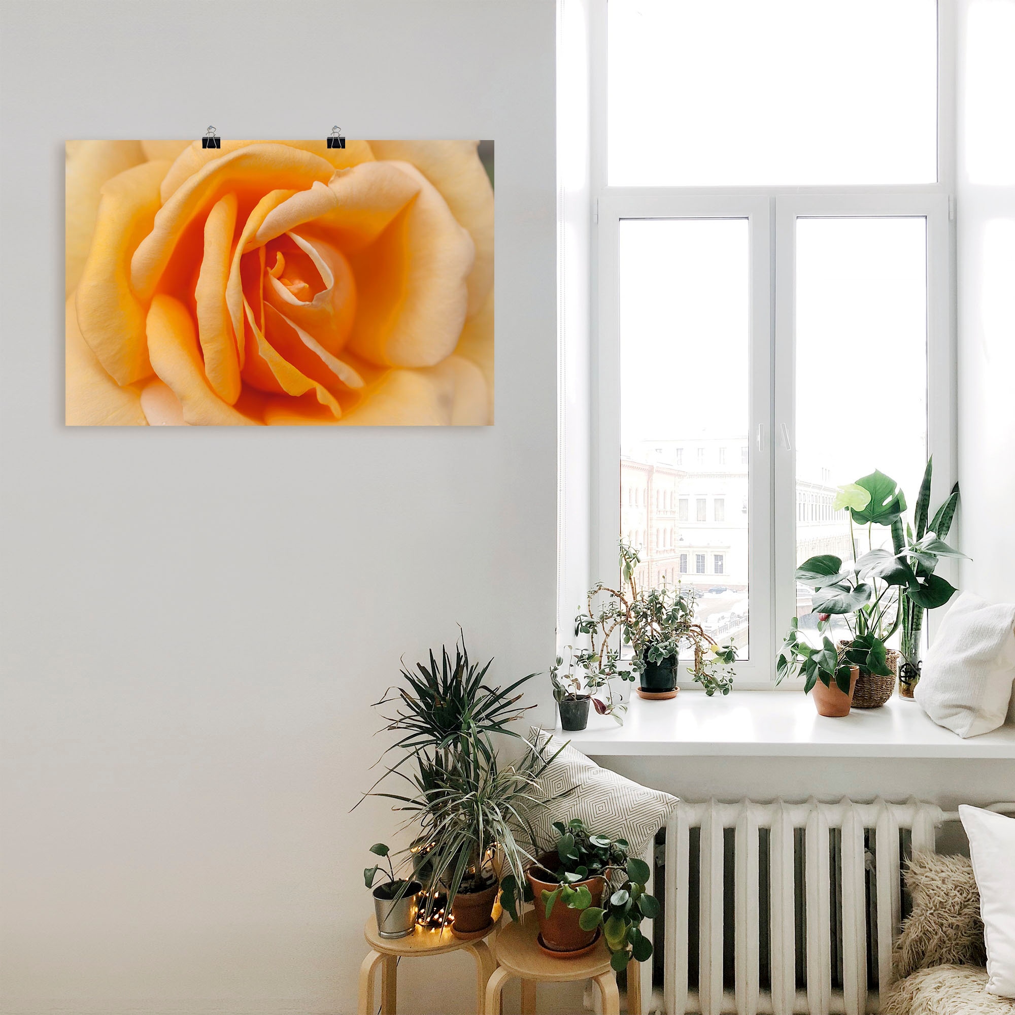 Rose Grössen versch. oder Wandaufkleber bestellen Orange«, Poster in als in (1 Leinwandbild, Jelmoli-Versand »Zarte Wandbild St.), online | Blumenbilder, Alubild, Artland