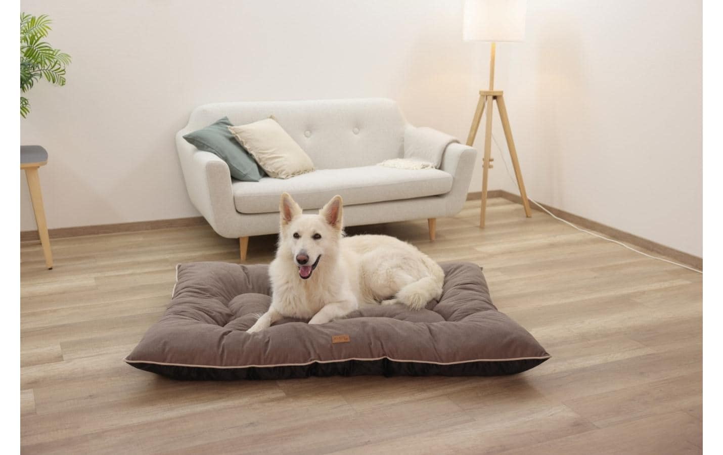Kerbl Hundematte »Hunde-Liegematte Benno«