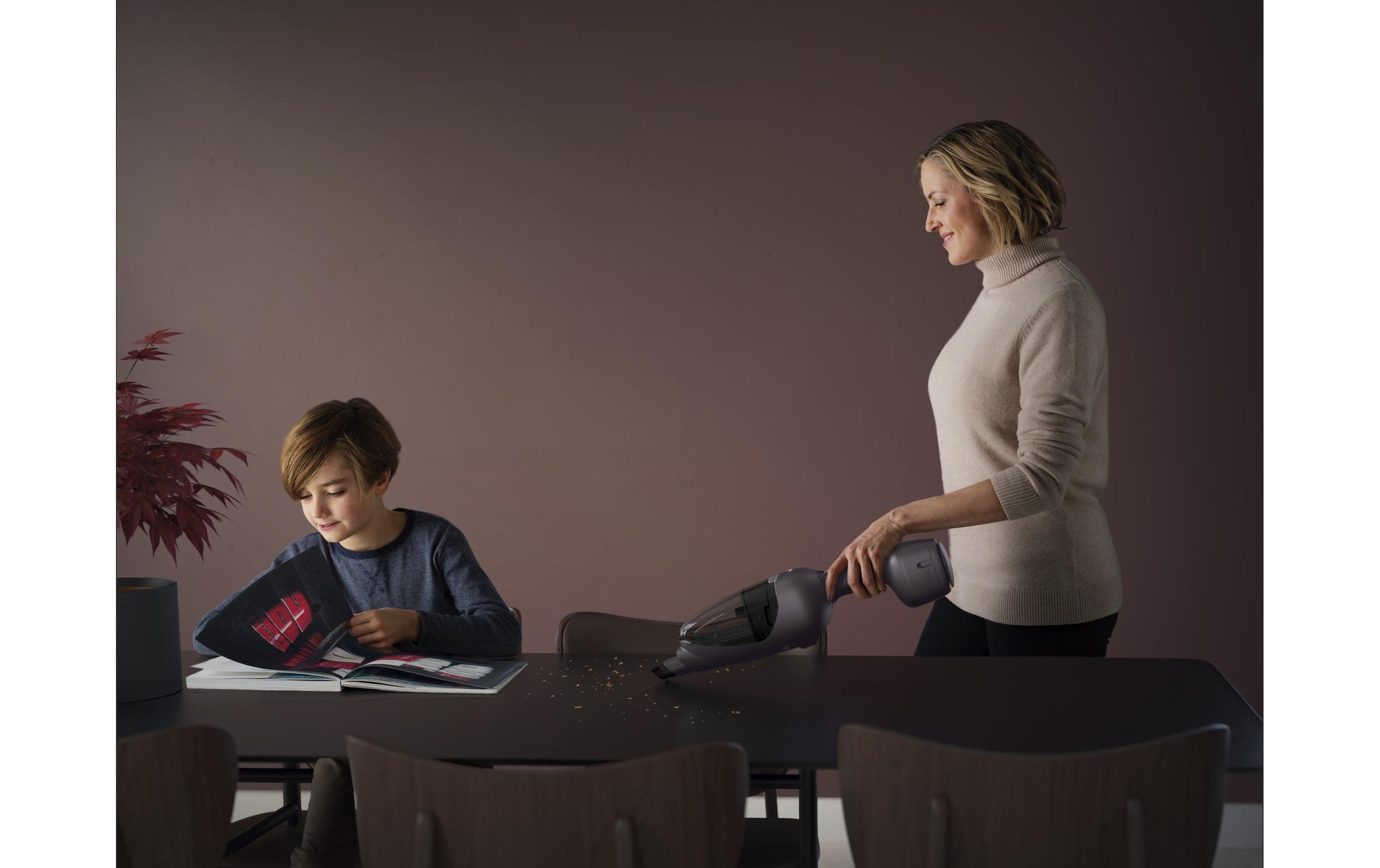 Electrolux Akku-Hand-und Stielstaubsauger »Electrolux«
