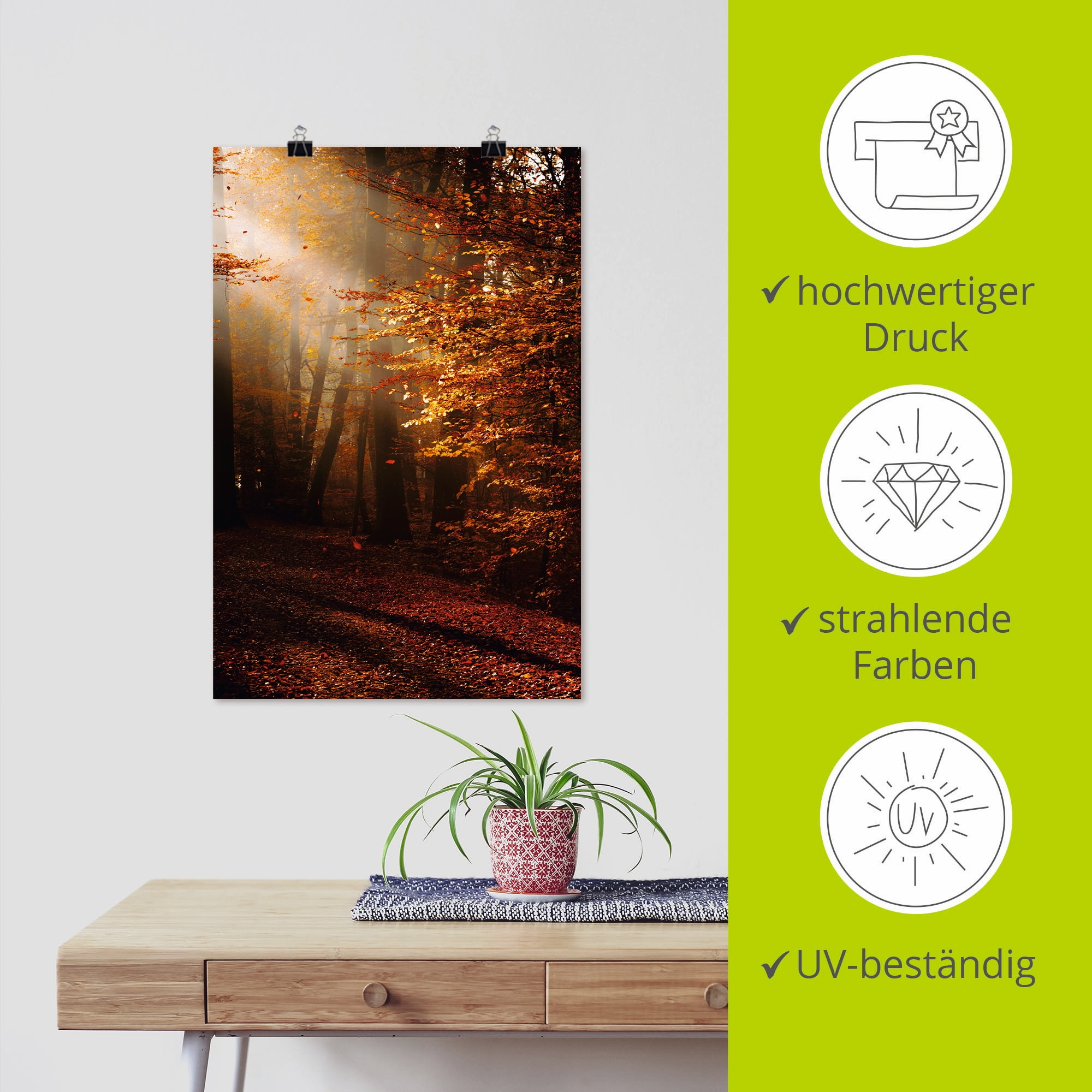 Artland Wandbild »Sonnenaufgang im Herbst«, Wald, (1 St.), als Leinwandbild, Poster in verschied. Grössen