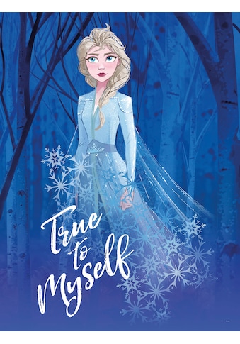 Poster »Frozen 2 Elsa true to myself«, Disney, (1 St.)