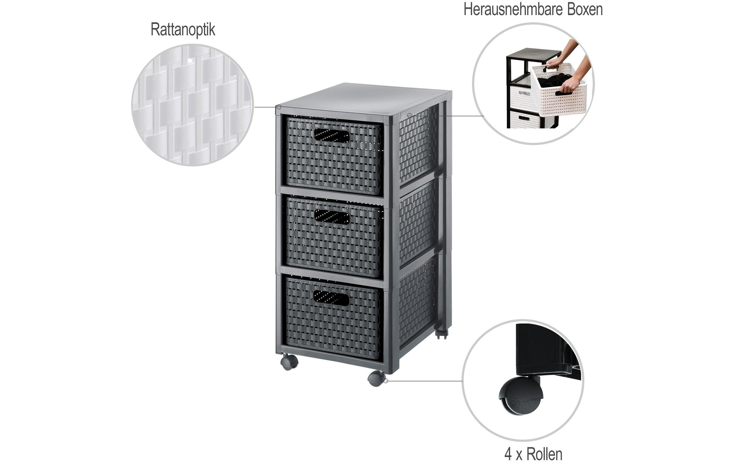 ROTHO Aufbewahrungsbox »Country 3xA4 mit Rollen«, (1 St.)