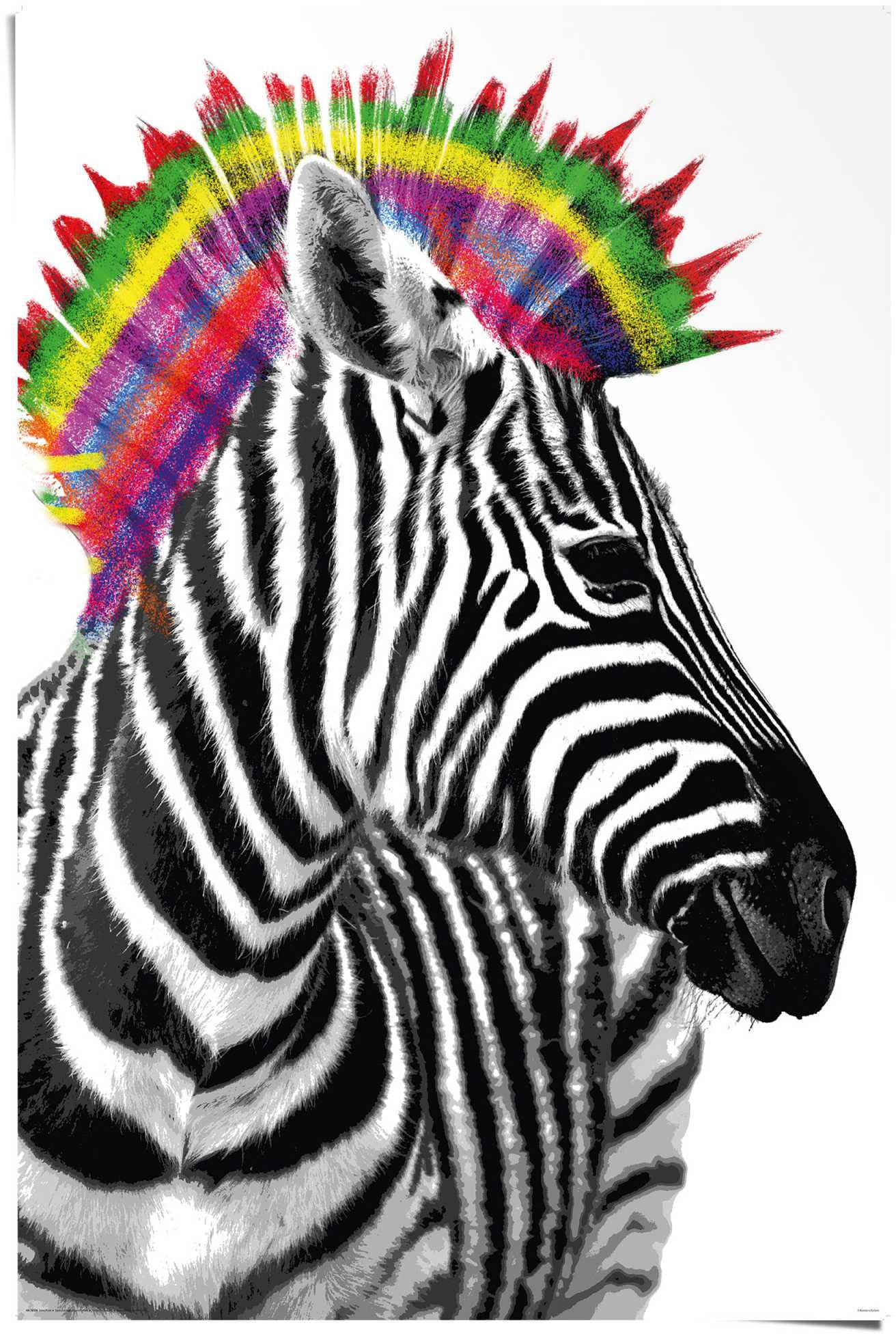 Punk«, Poster Reinders! St.) bestellen Shop Jelmoli-Online im »Zebra ❤ (1