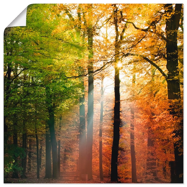 Artland Wandbild »Schöner Herbsttag 2«, Wald, (1 St.), als Alubild,  Leinwandbild, Wandaufkleber oder Poster in versch. Grössen online kaufen |  Jelmoli-Versand