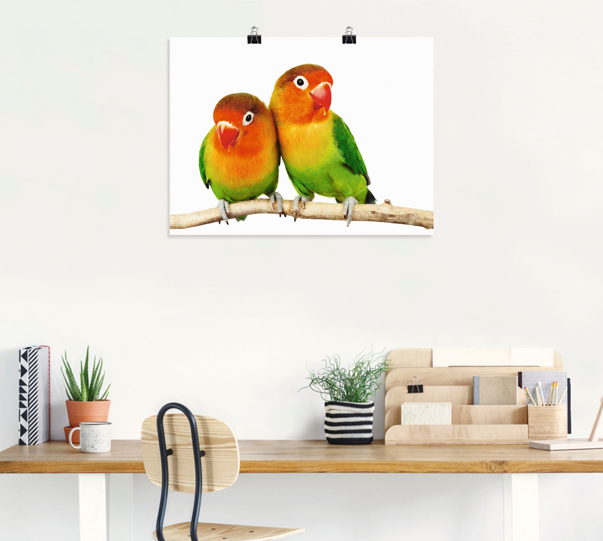 Artland Wandbild »Paar von Grauköpfchen - Papageien«, Vögel, (1 St.), als Leinwandbild, Poster, Wandaufkleber in verschied. Grössen