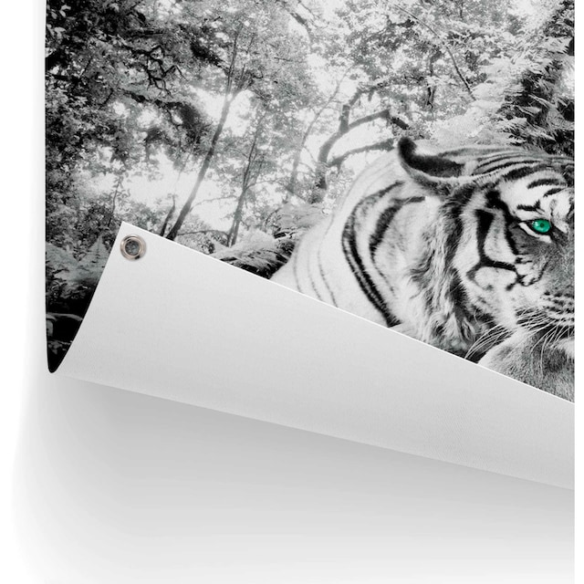 Reinders! Poster »Tigerblick« online kaufen | Jelmoli-Versand