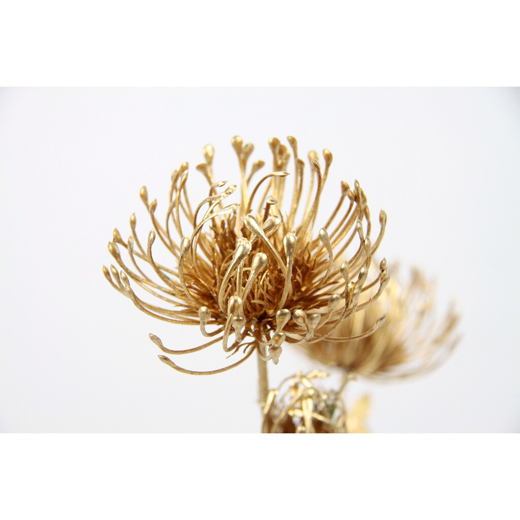 I.GE.A. Kunstblume »Protea«