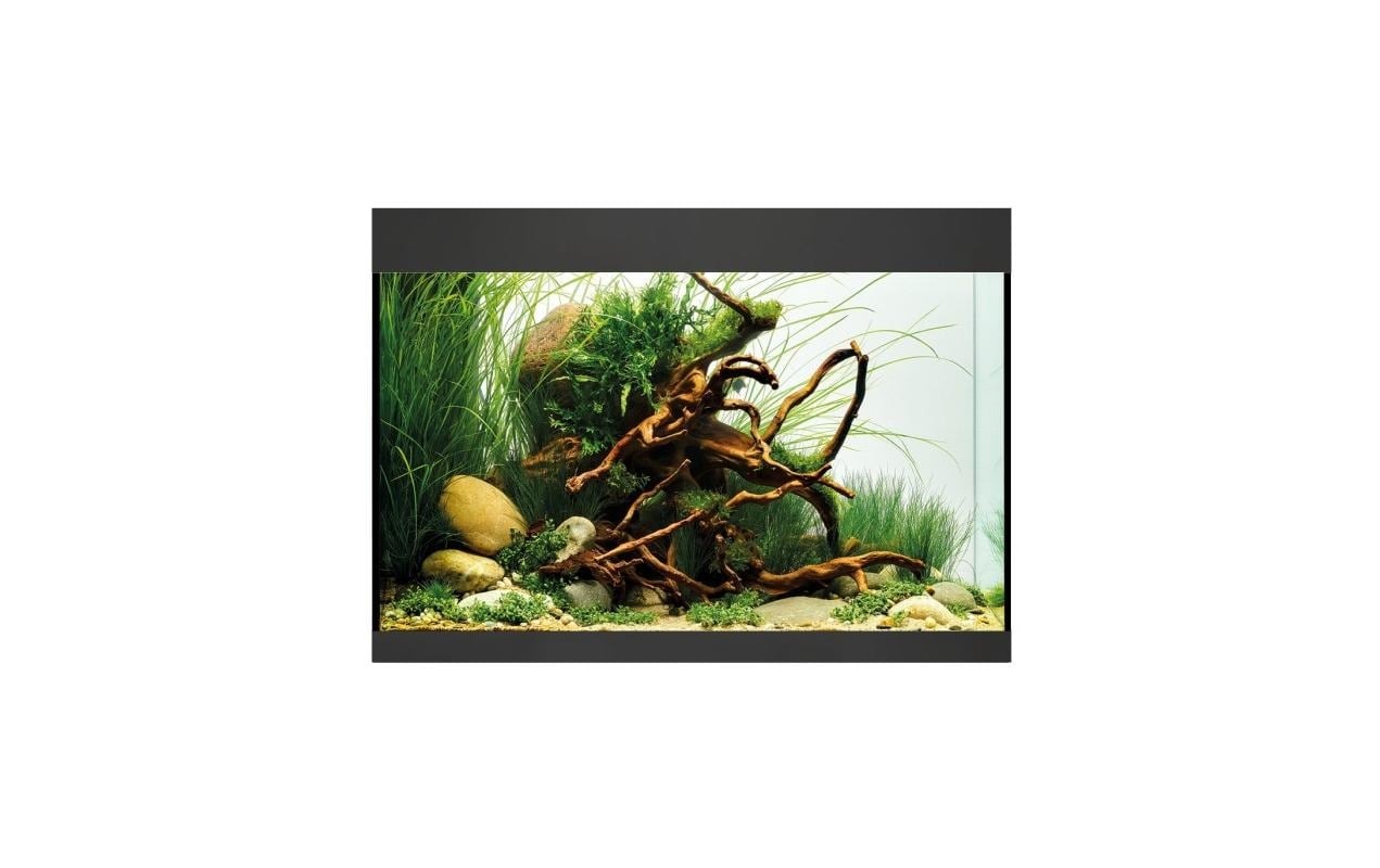 OASE Aquarium »StyleLine 125 75 l«