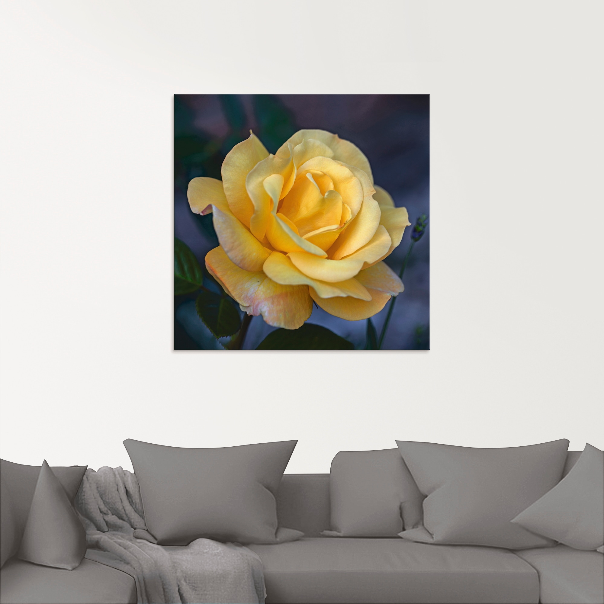 Artland Glasbild »Gelbe | in verschiedenen Jelmoli-Versand online St.), (1 Grössen Rose«, Blumen, kaufen