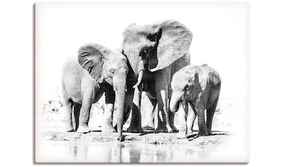 Artland Wandbild »Elefanten am Wasserloch«, Elefanten Bilder, (1 St.), als  Alubild, Leinwandbild, Wandaufkleber oder Poster in versch. Grössen online  kaufen | Jelmoli-Versand