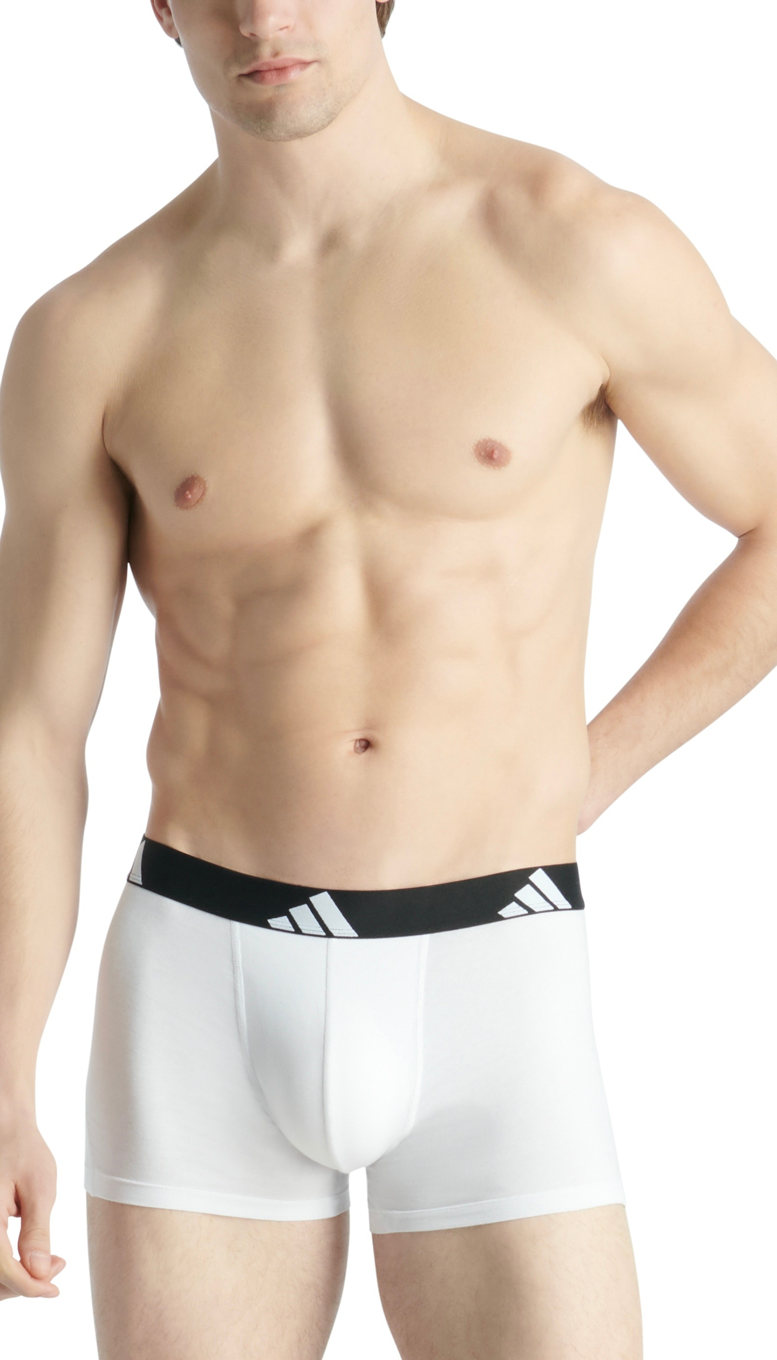 adidas Sportswear Trunk »Active Flex Cotton«, (3er Pack), elastischer Logo-Bund, ohne Eingriff, Single Jersey-Qualität