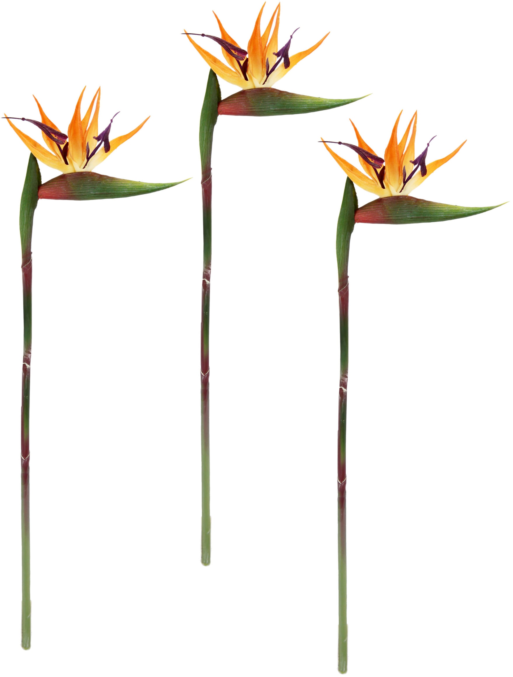 I.GE.A. Kunstblume Hochzeit Zweig | online Dekoration bestellen Exotischer Paradiesvogelblume Blume Dekozweig«, »Künstliche Dekoblume Stielblume Jelmoli-Versand Strelitzie Einzelblume