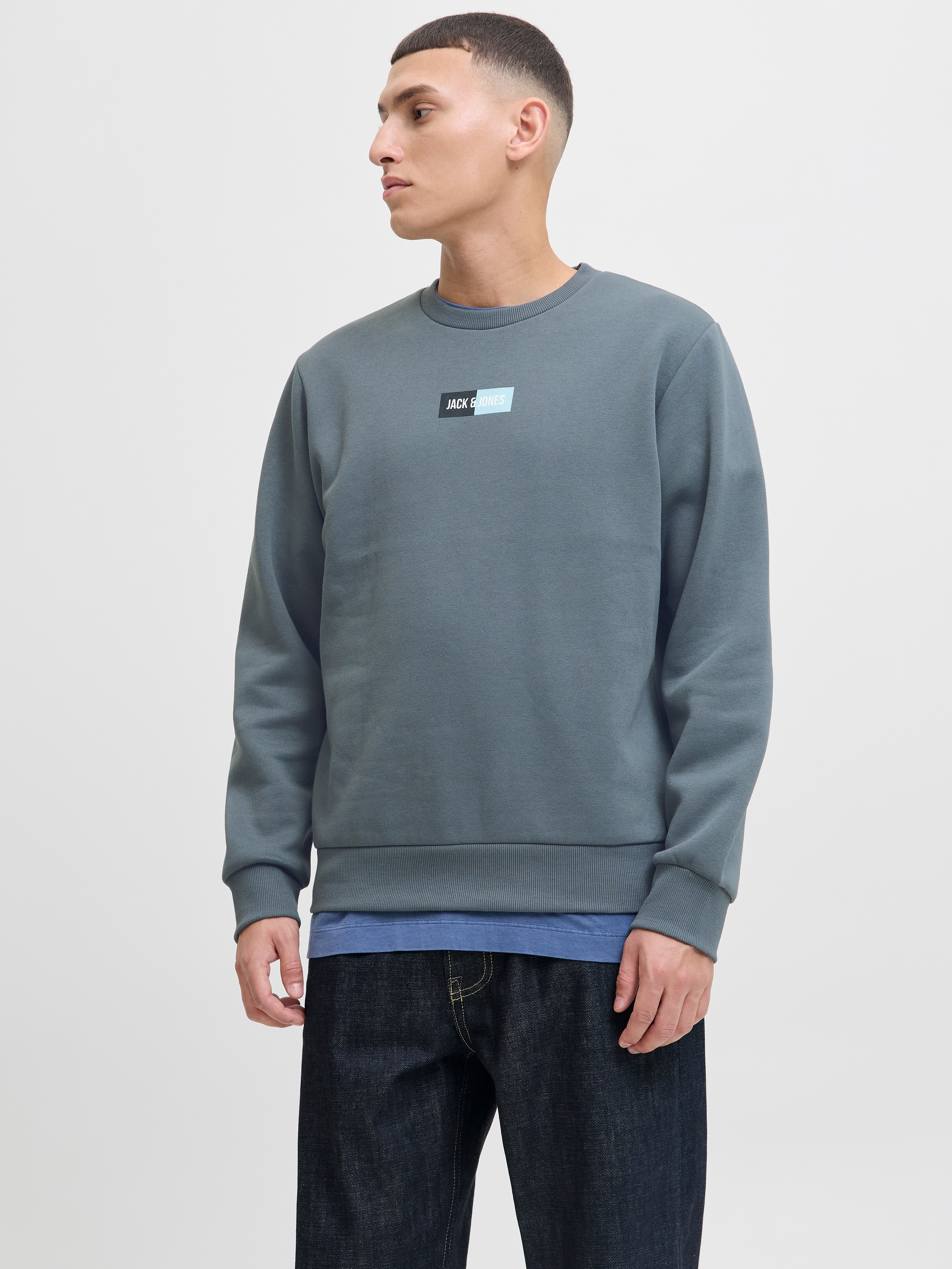 Jack & Jones Sweater »JJPAN SWEAT CREW NECK«