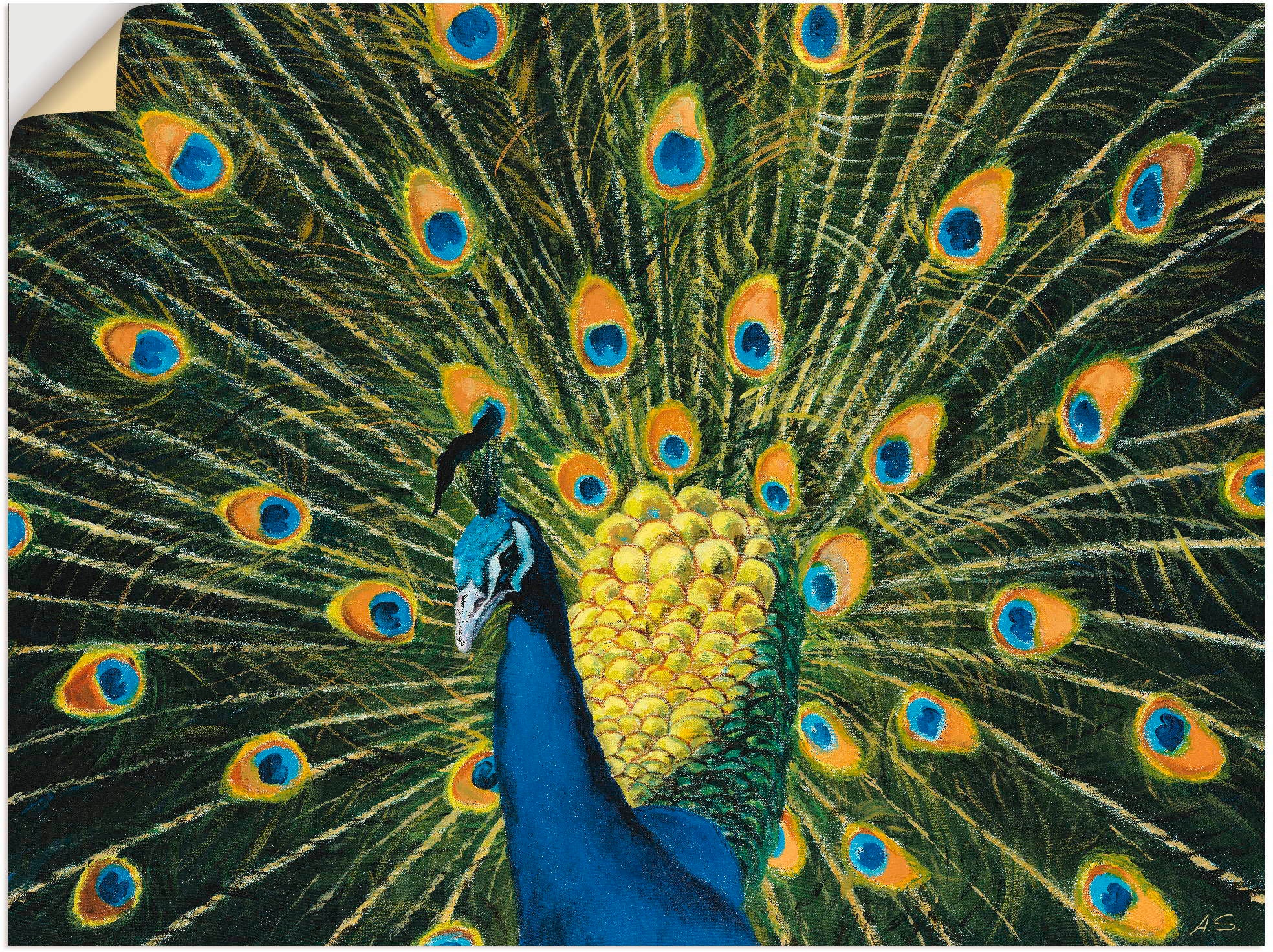 | »Pfau«, Wandbild Artland Vögel, kaufen Jelmoli-Versand online (1 St.)