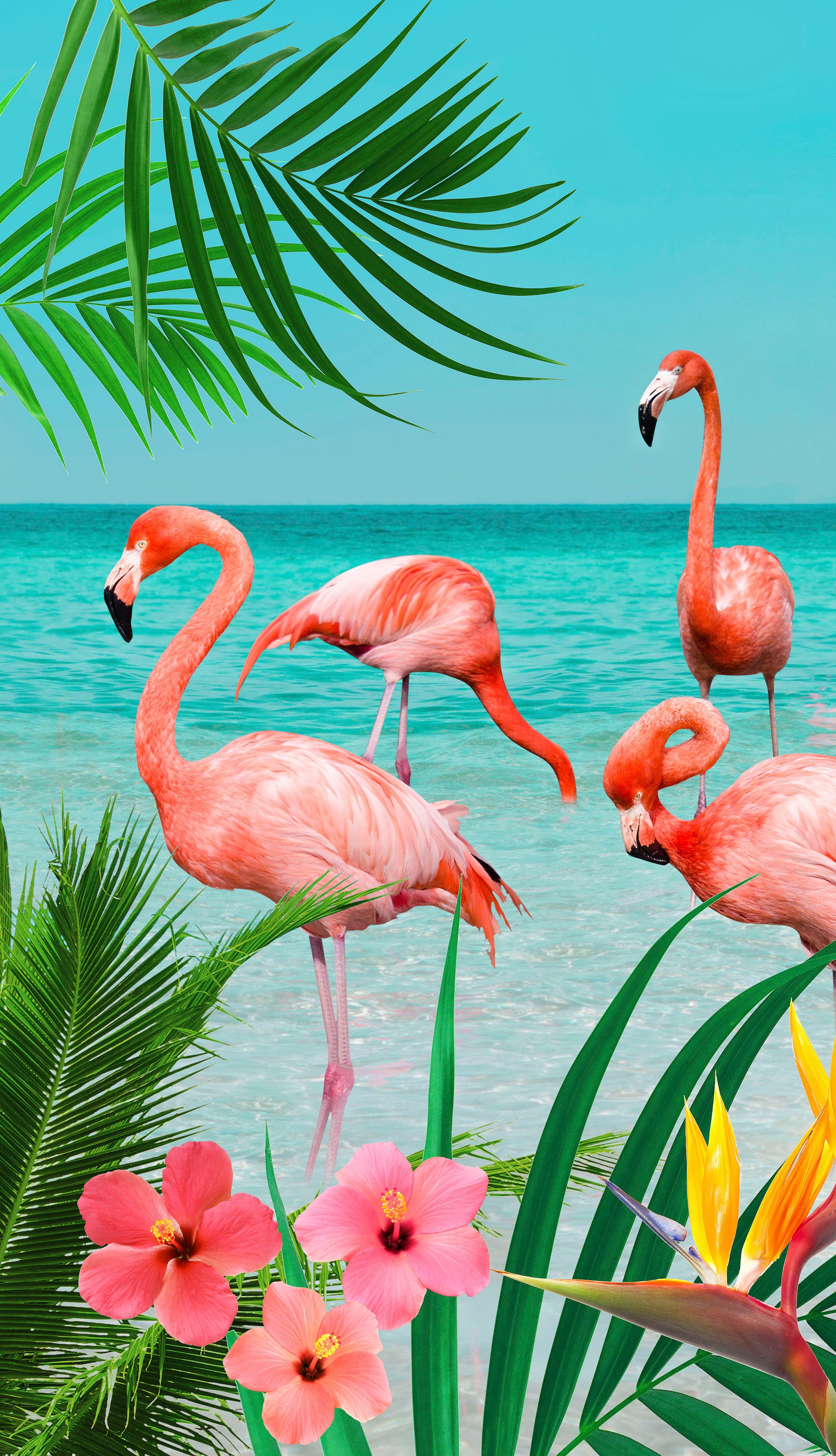 Strandtuch good (1 »Flamingo«, St.), shoppen morning mit online Jelmoli-Versand | Flamingos