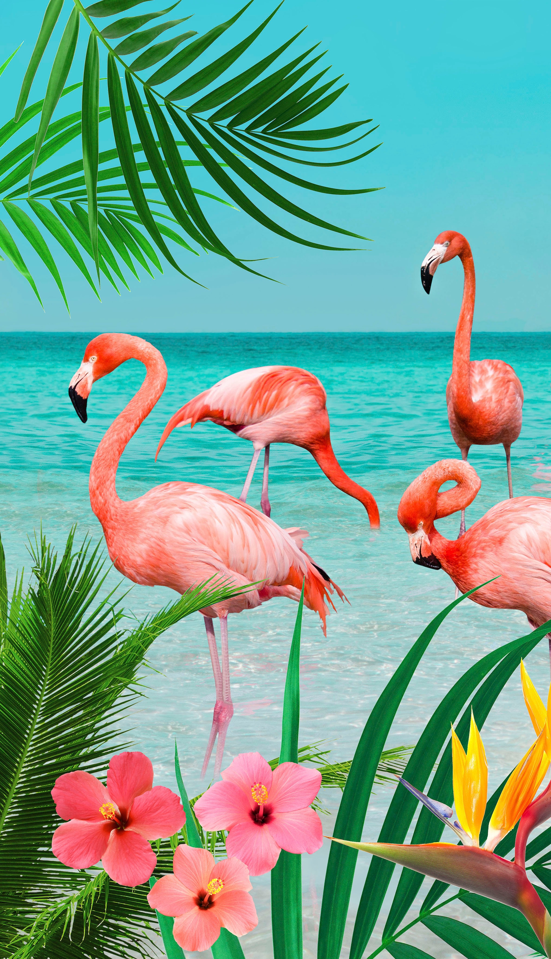 shoppen »Flamingo«, mit | morning Jelmoli-Versand (1 good St.), online Strandtuch Flamingos