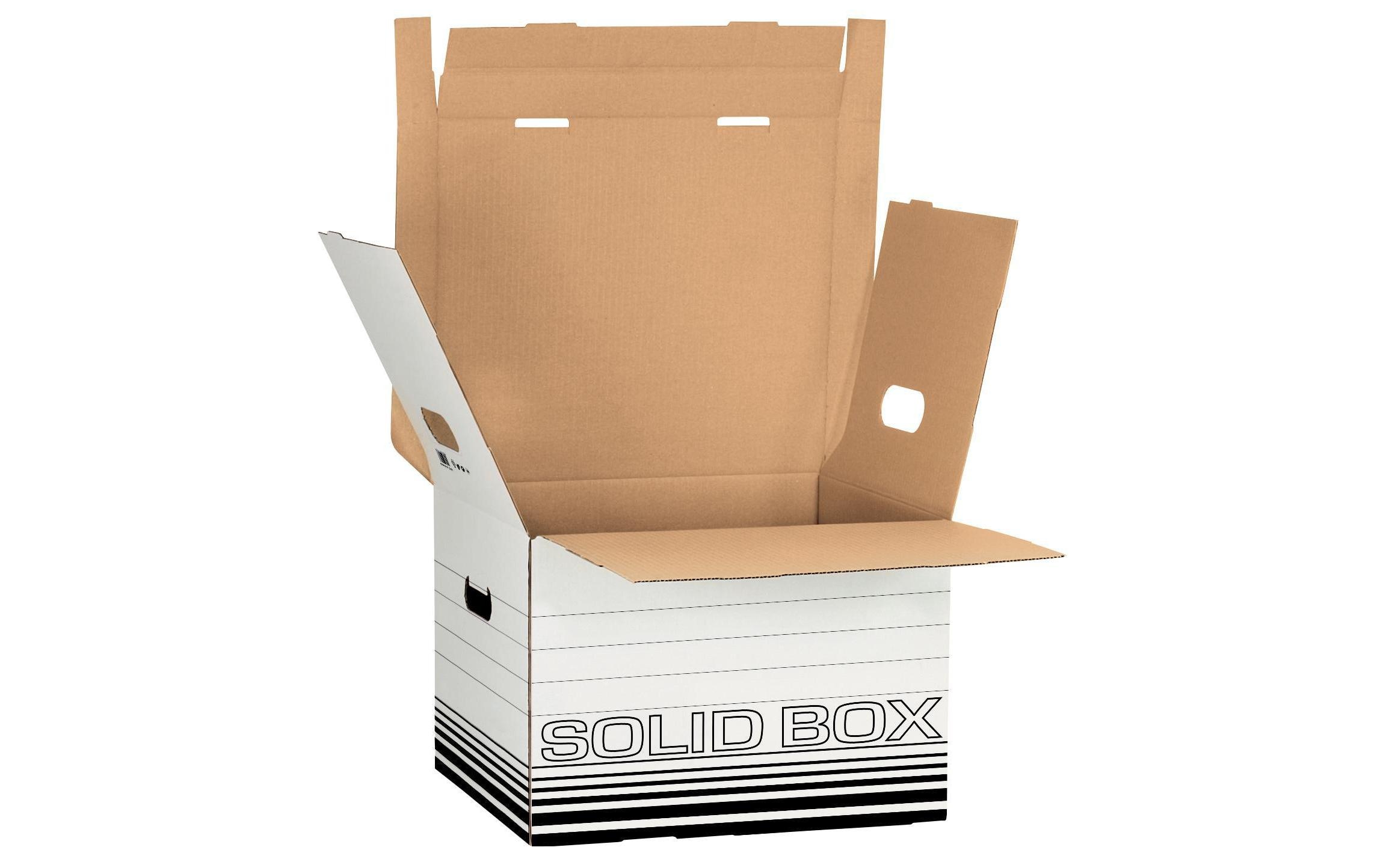 LEITZ Aufbewahrungsbox »Solid Box M K«, (10 St.)