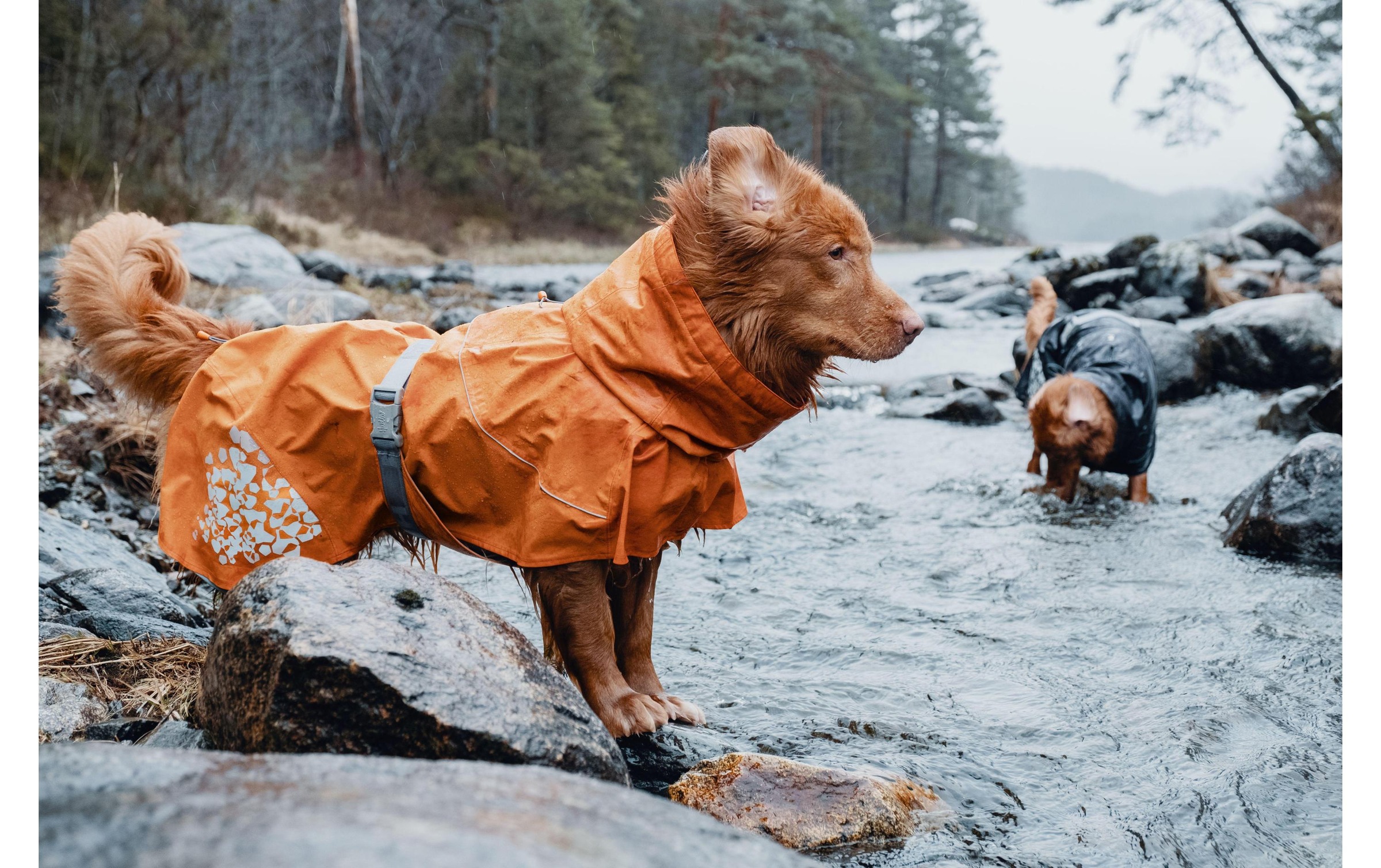 HURTTA Hunderegenmantel »Monsoon Coat ora«, Polyester, Wasser-Säule 10000, Öko-Tex Standard 100