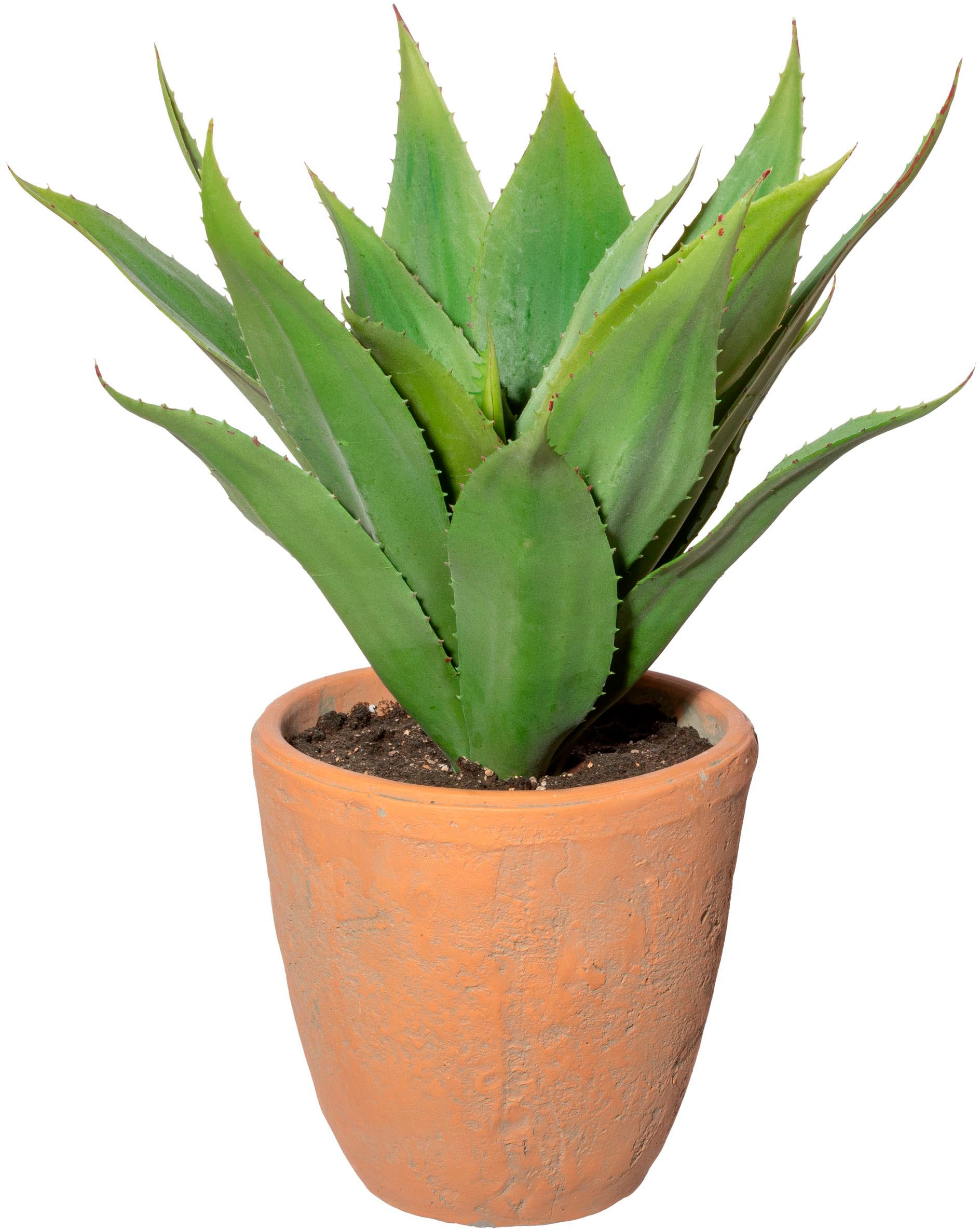 Creativ green online Zimmerpflanze Terracottatopf« Jelmoli-Versand im | shoppen Künstliche »Agave