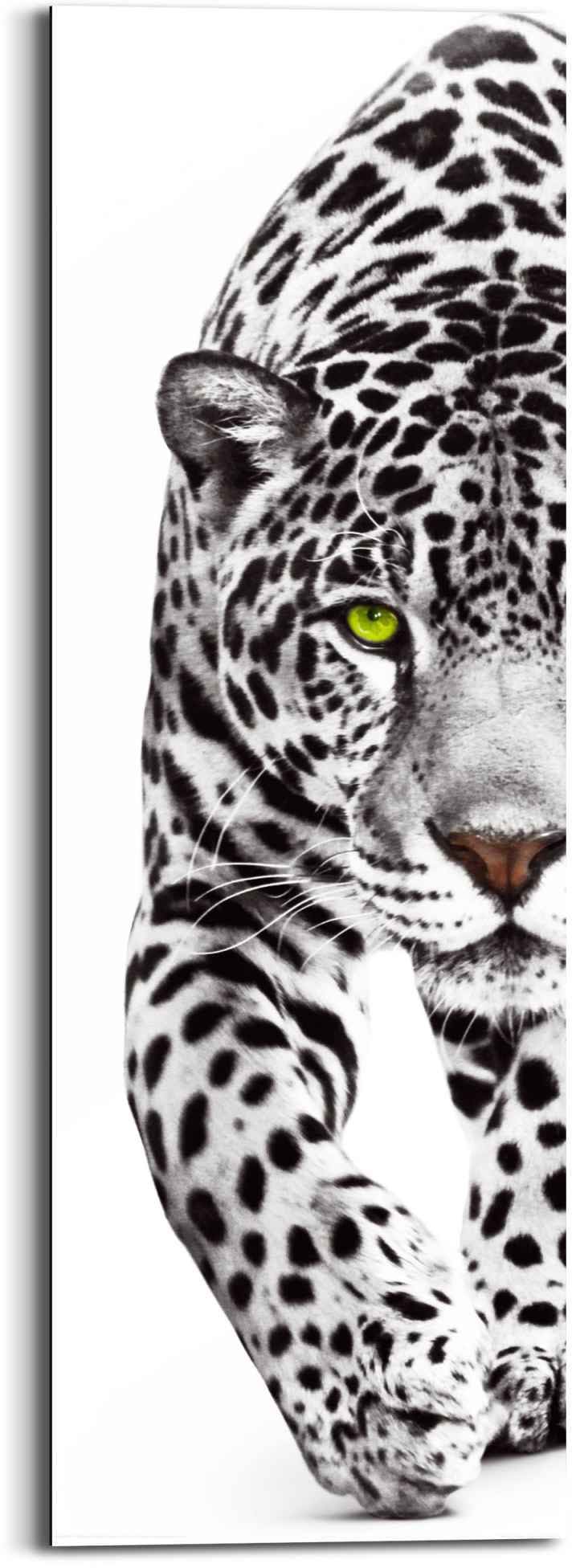Shop Panther »Wandbild (1 Jelmoli-Online Leopard Gefleckt«, - Wandbild - St.) Reinders! Raubtier im ❤ Kräftig - Leopard, entdecken