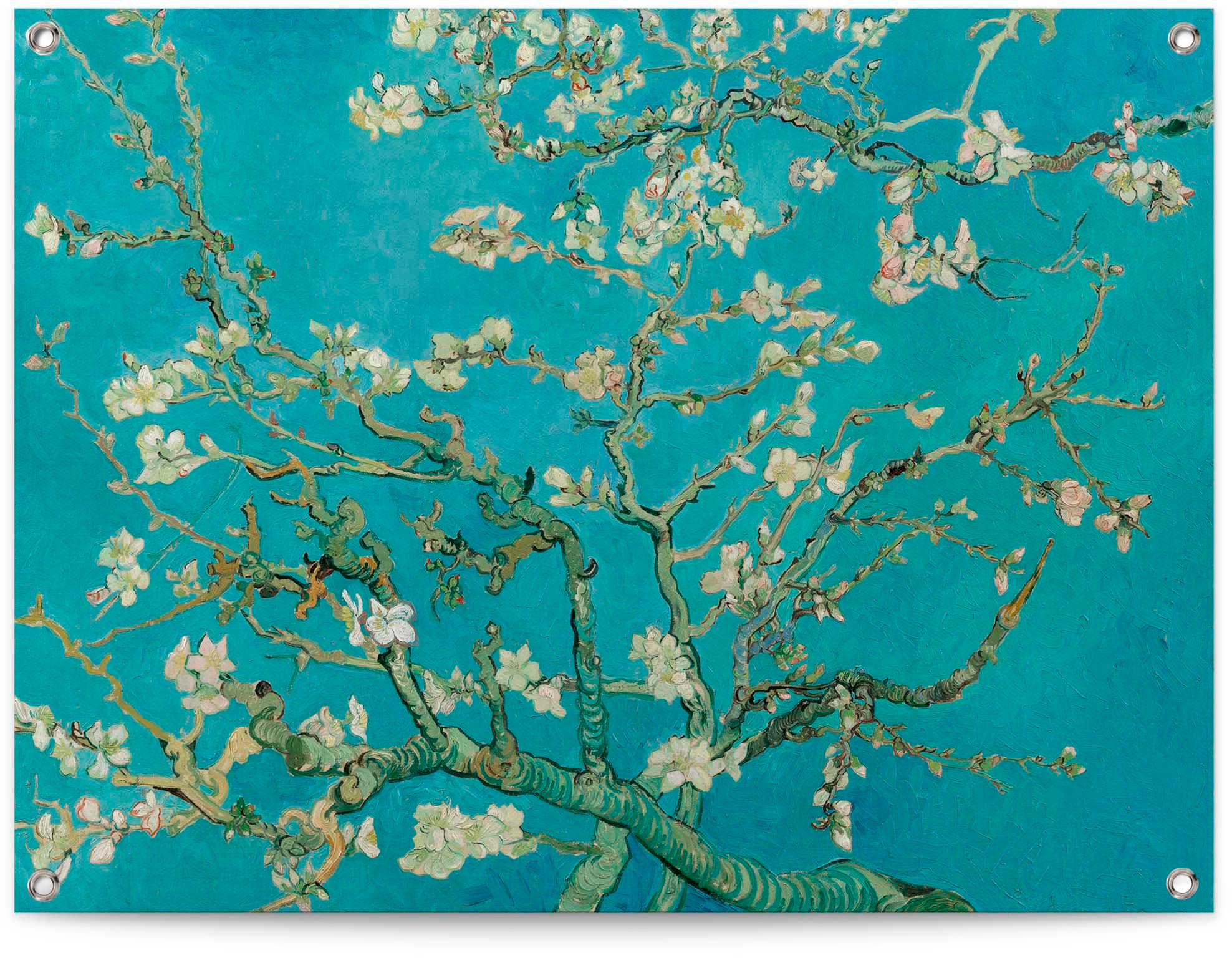 Reinders! Poster »Mandelblüte - Vincent van Jelmoli-Versand Gogh« kaufen online 