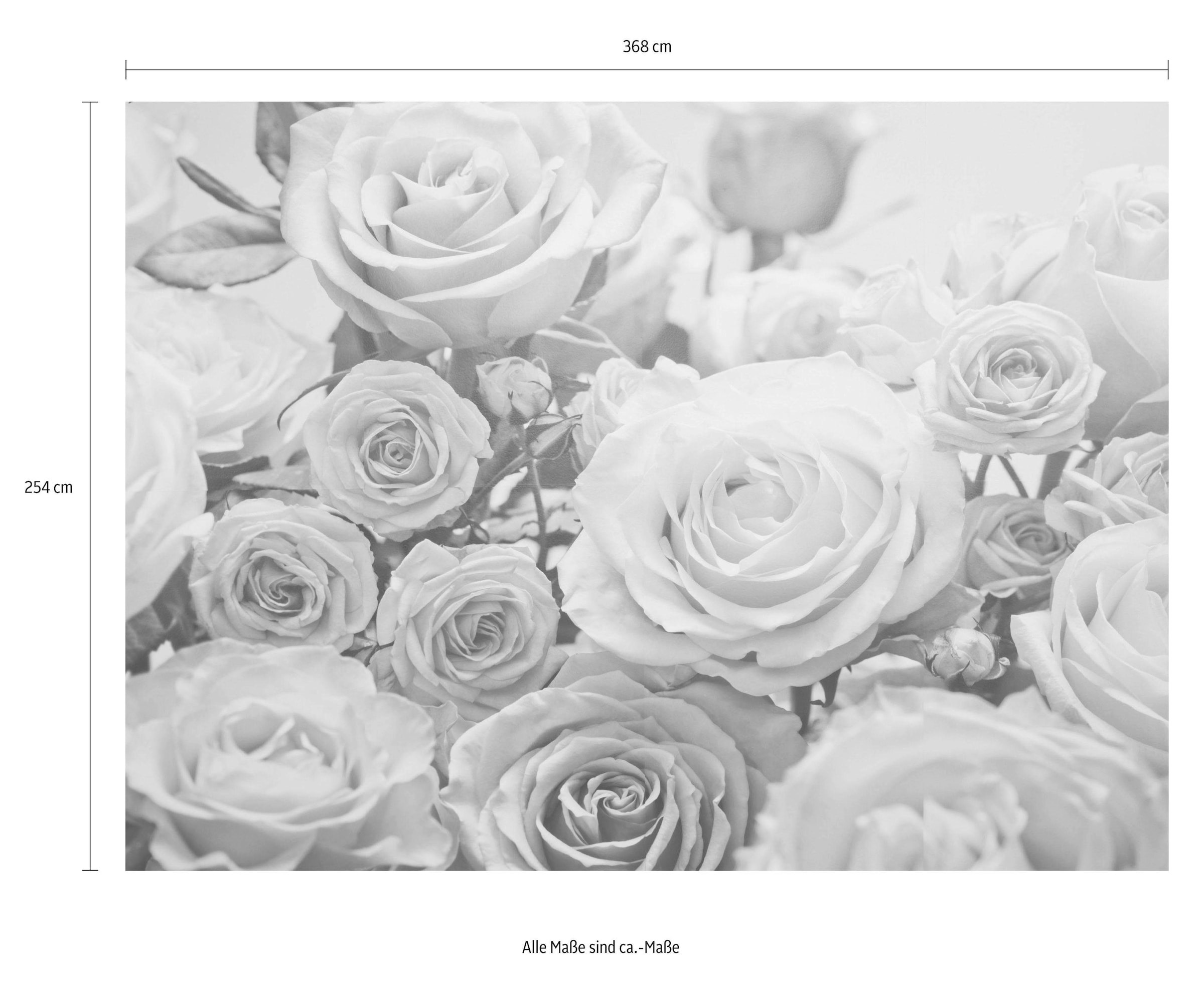 Komar Fototapete »Floraison - Grösse 368 x 254 cm«, bedruckt, Wohnzimmer, Schlafzimmer