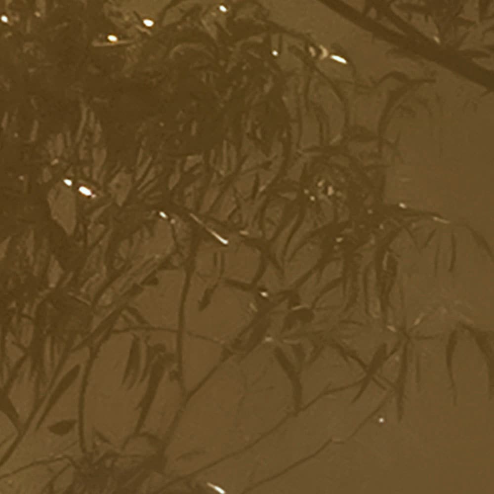 Komar Fototapete »Digitaldruck Vlies - Foggy Sunshine - Grösse 400 x 250 cm«, bedruckt, Wohnzimmer, Schlafzimmer