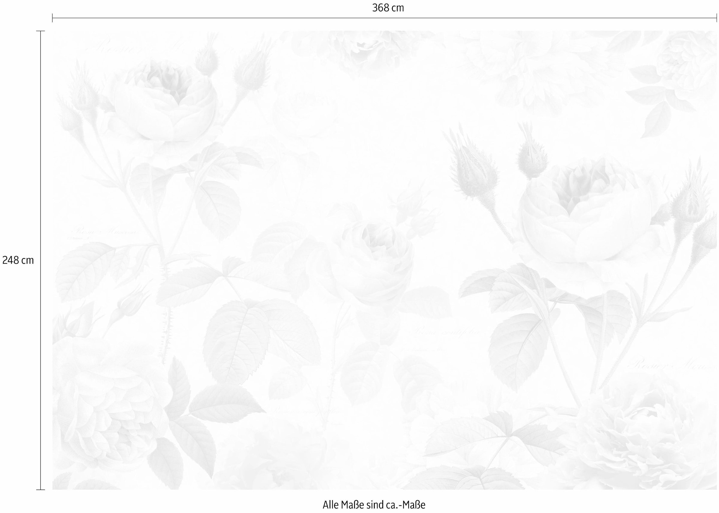 Komar Vliestapete »Vlies - La Maison - Grösse 368 x 248 cm«, bedruckt, Wohnzimmer, Schlafzimmer