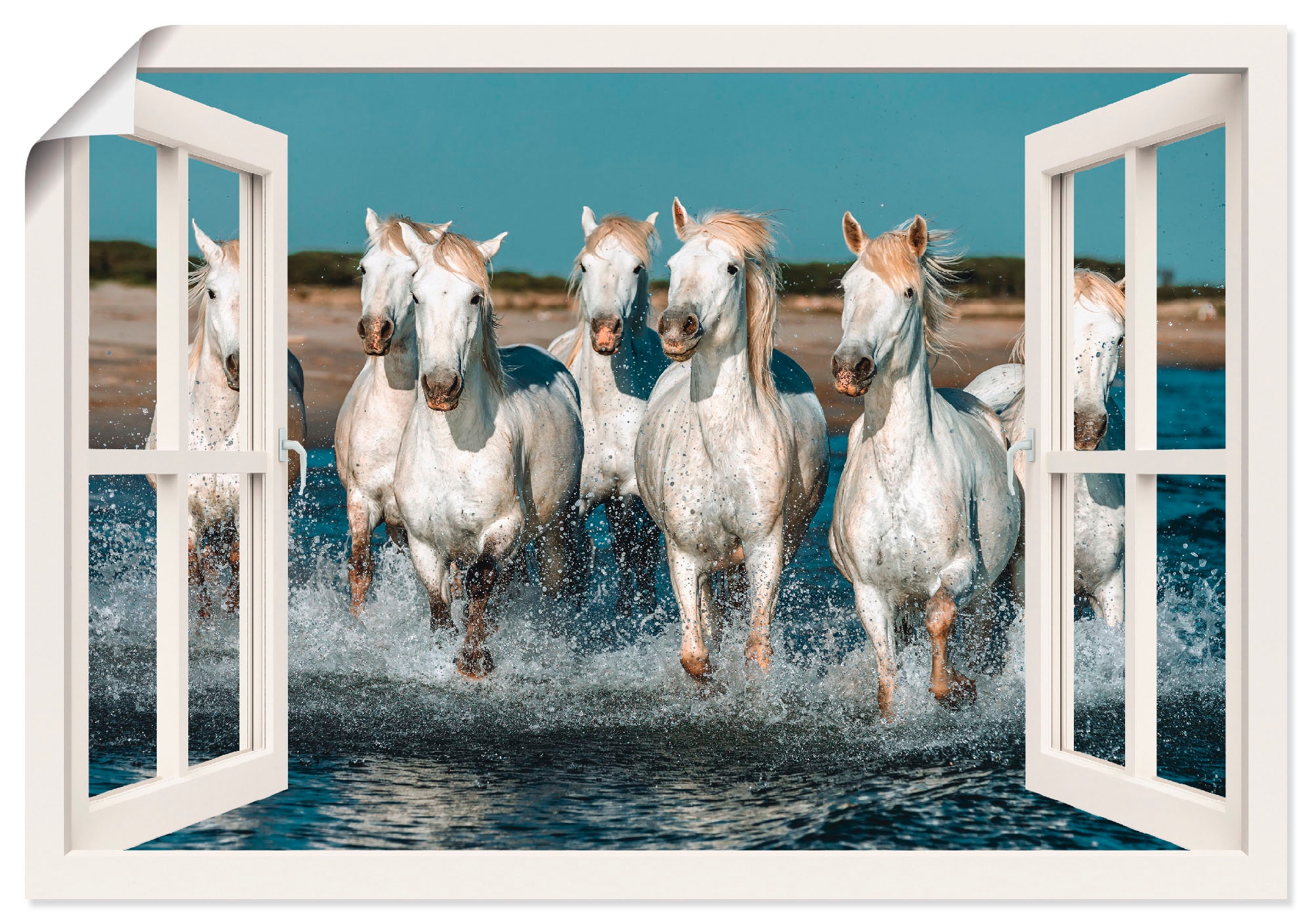 Artland Wandbild »Fensterblick Pferde am Strand«, Haustiere, (1 St.), als  Alubild, Leinwandbild, Wandaufkleber oder Poster in versch. Grössen online  shoppen | Jelmoli-Versand