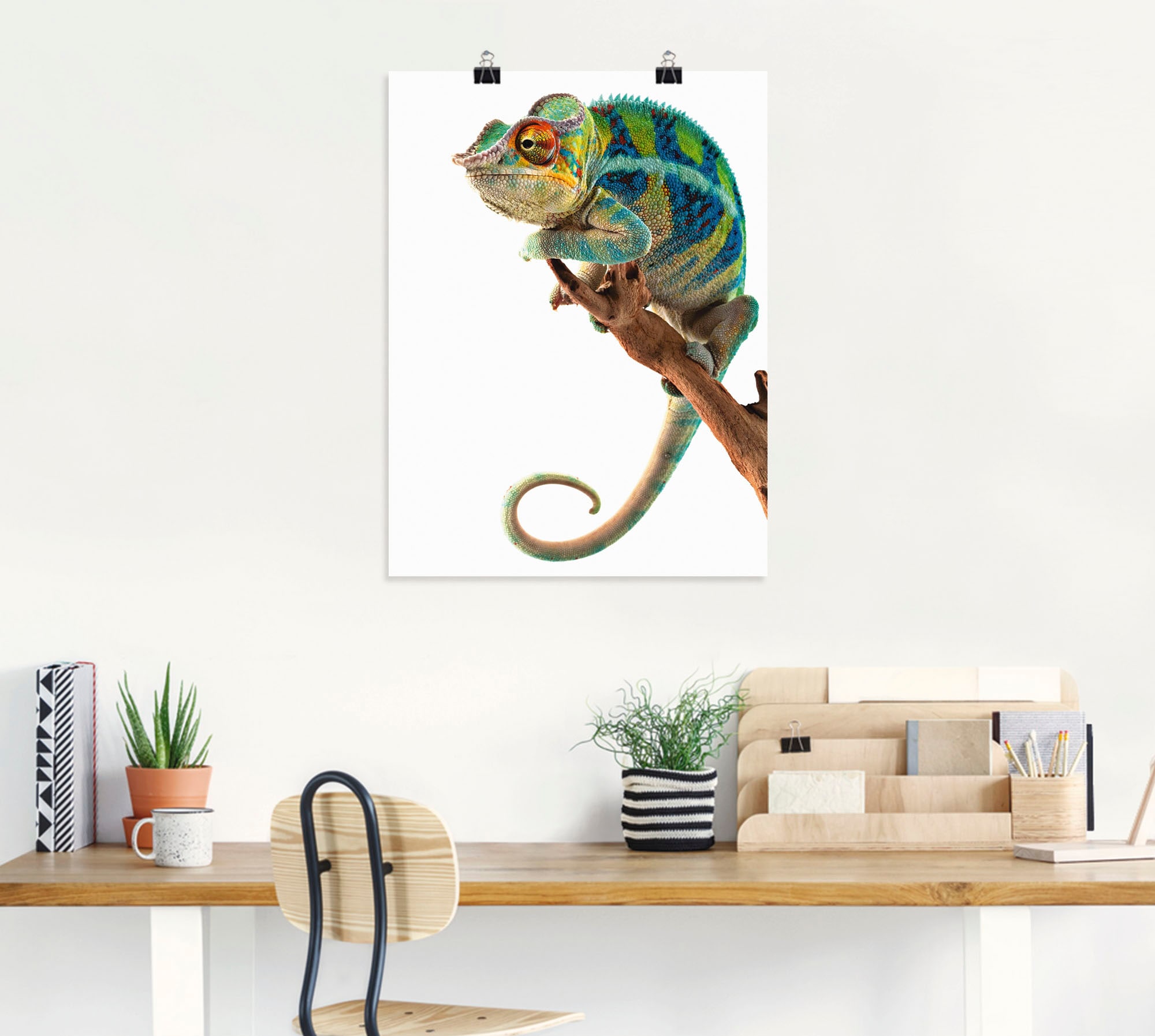 Artland Wandbild »Ambanja Panther Chamäleon«, Reptilien, (1 St.), als Leinwandbild, Poster in verschied. Grössen